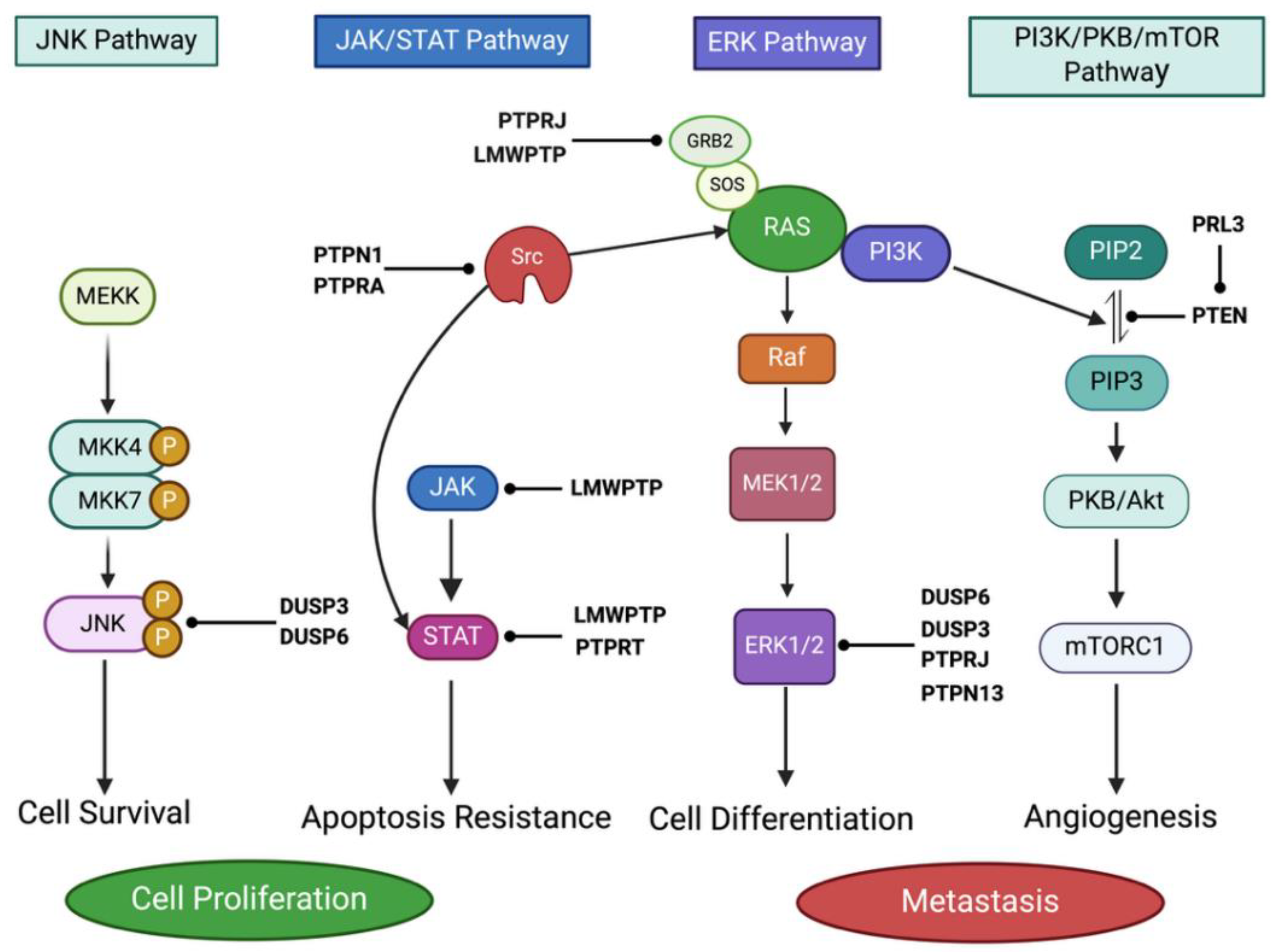 Preprints 228109 g003