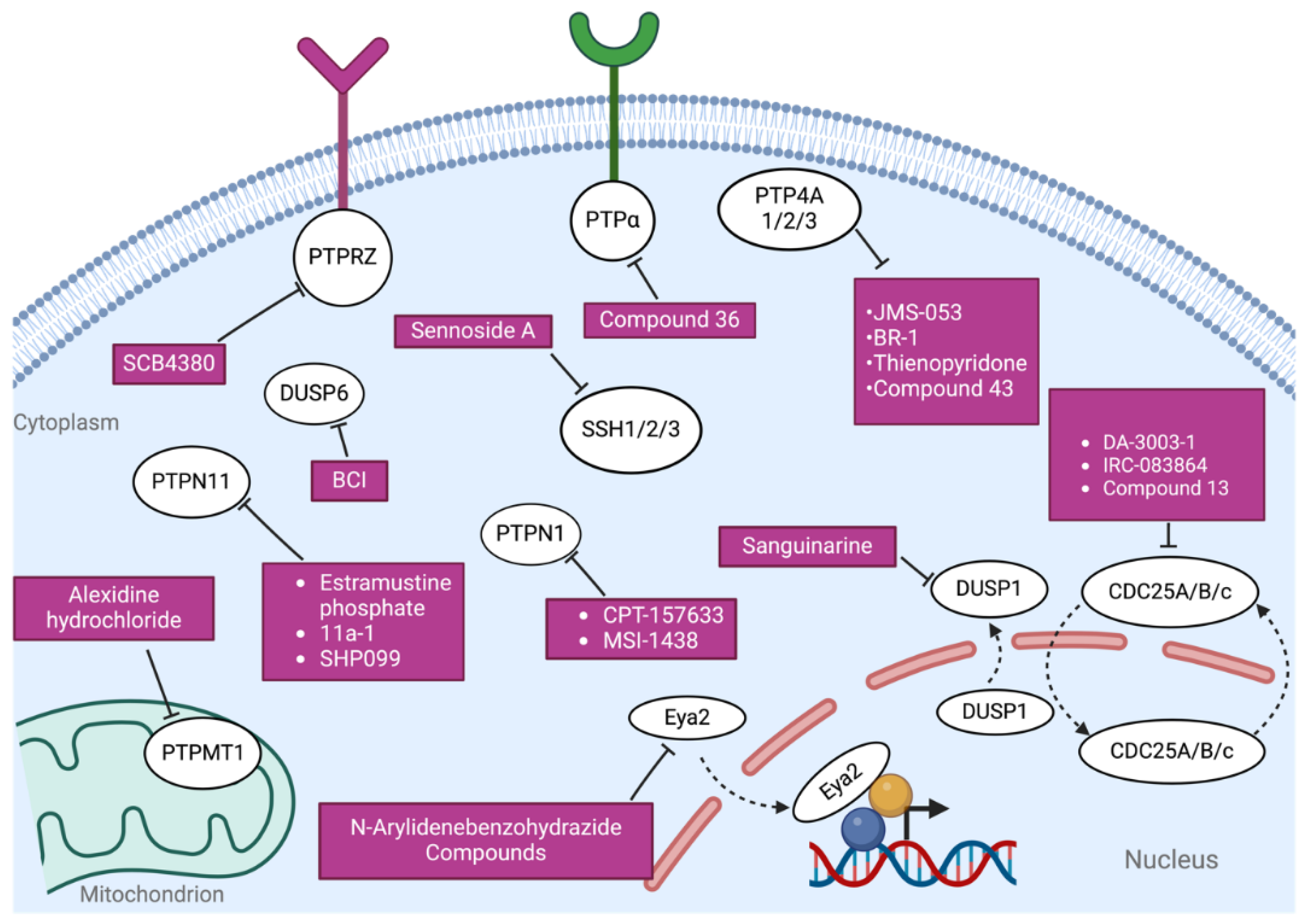 Preprints 228109 g004