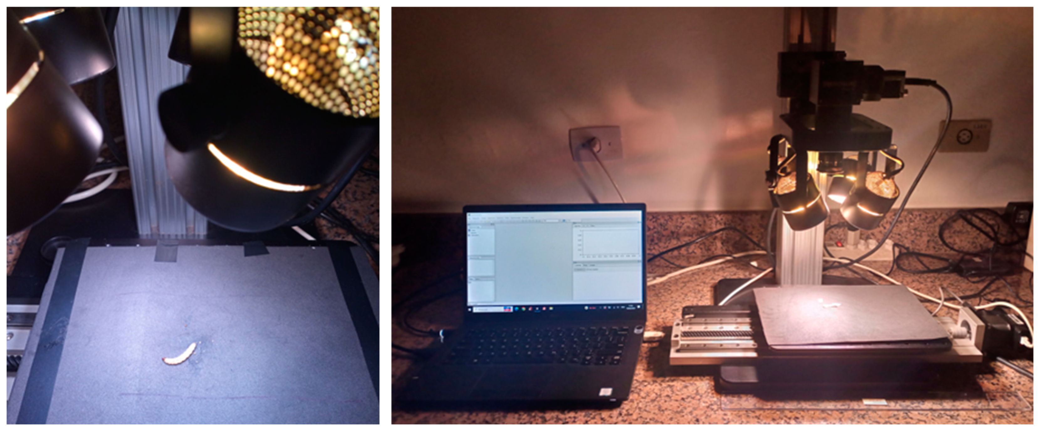 Preprints 155393 g005