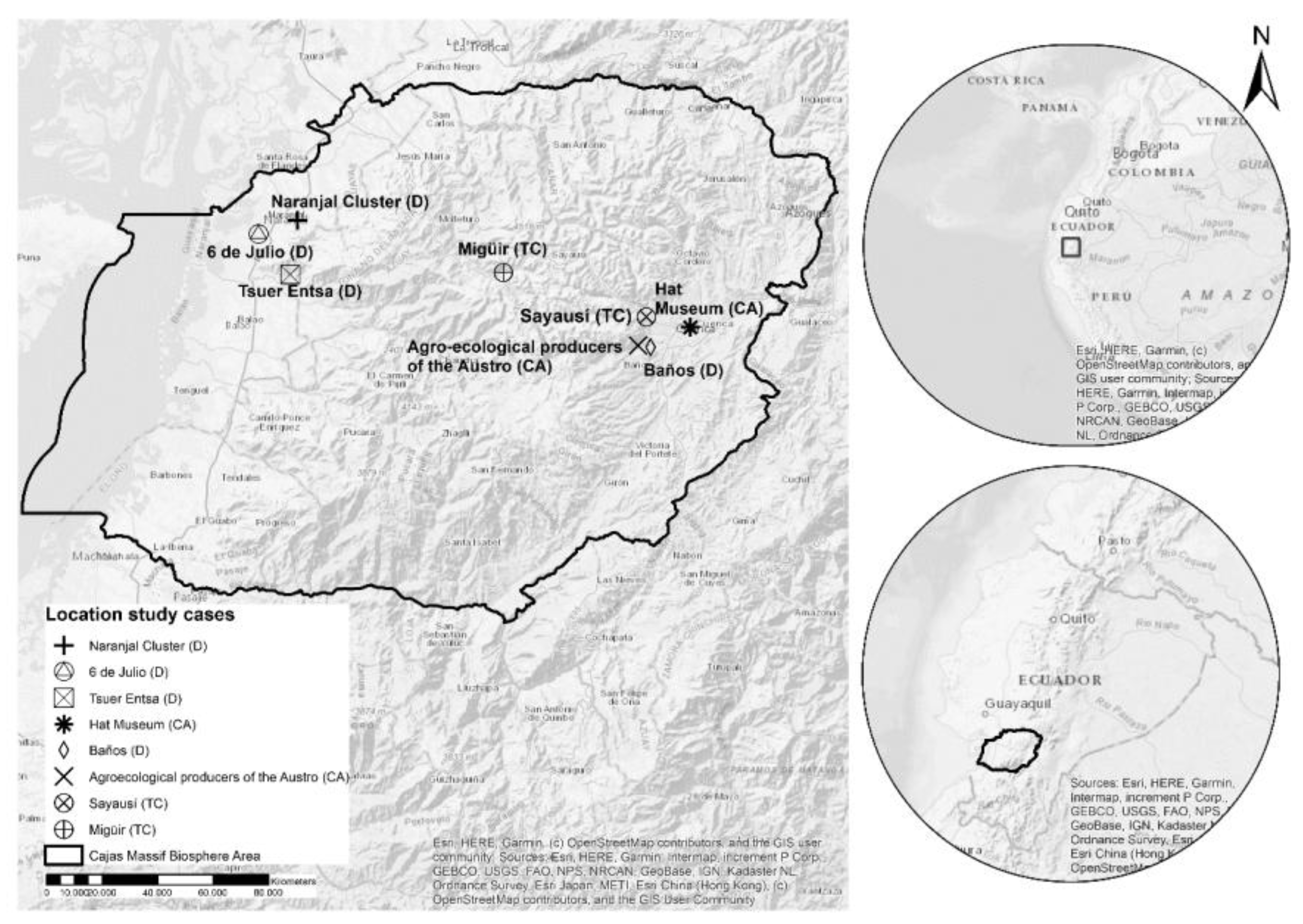 Preprints 151816 g001