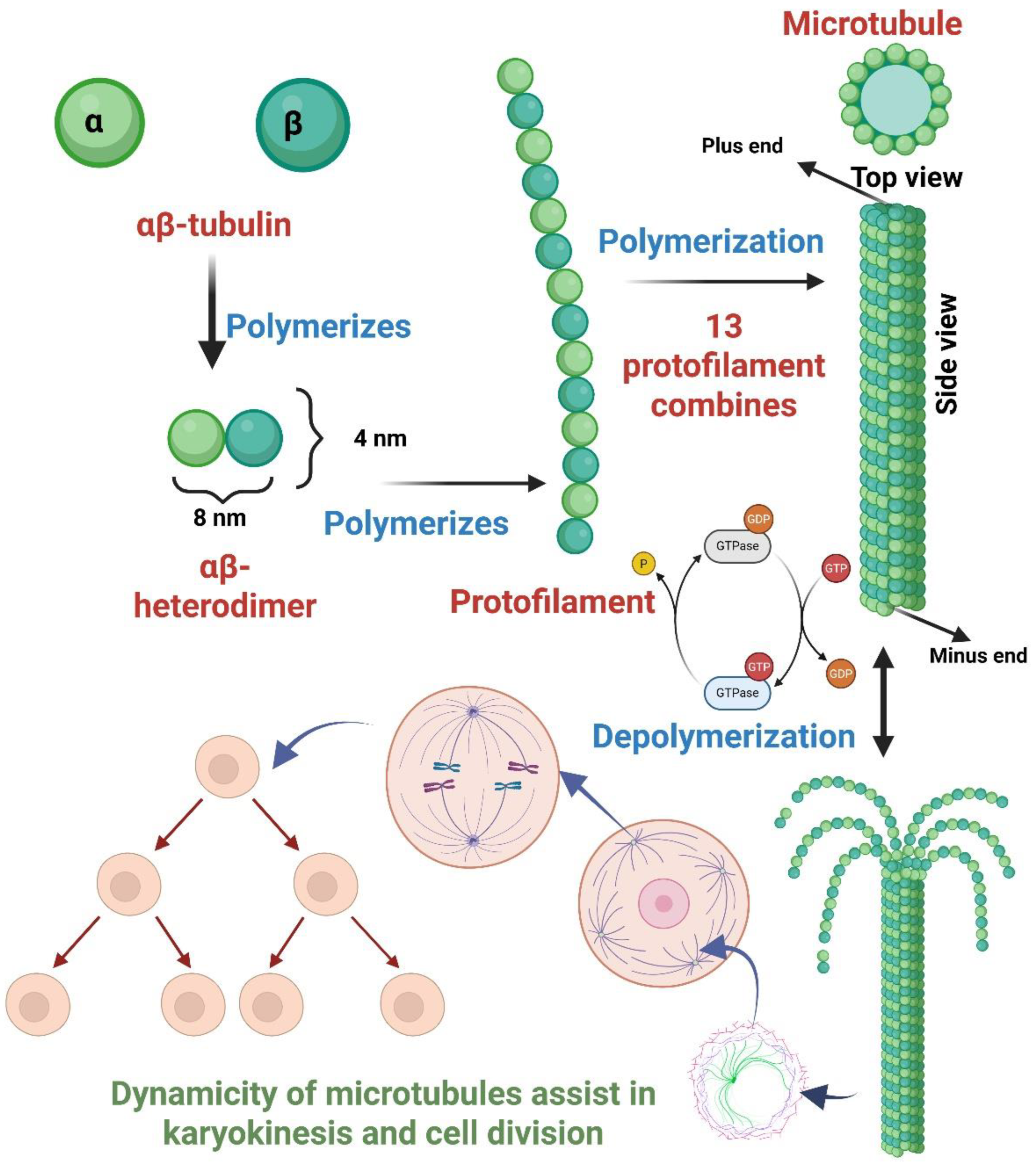Preprints 172549 g001
