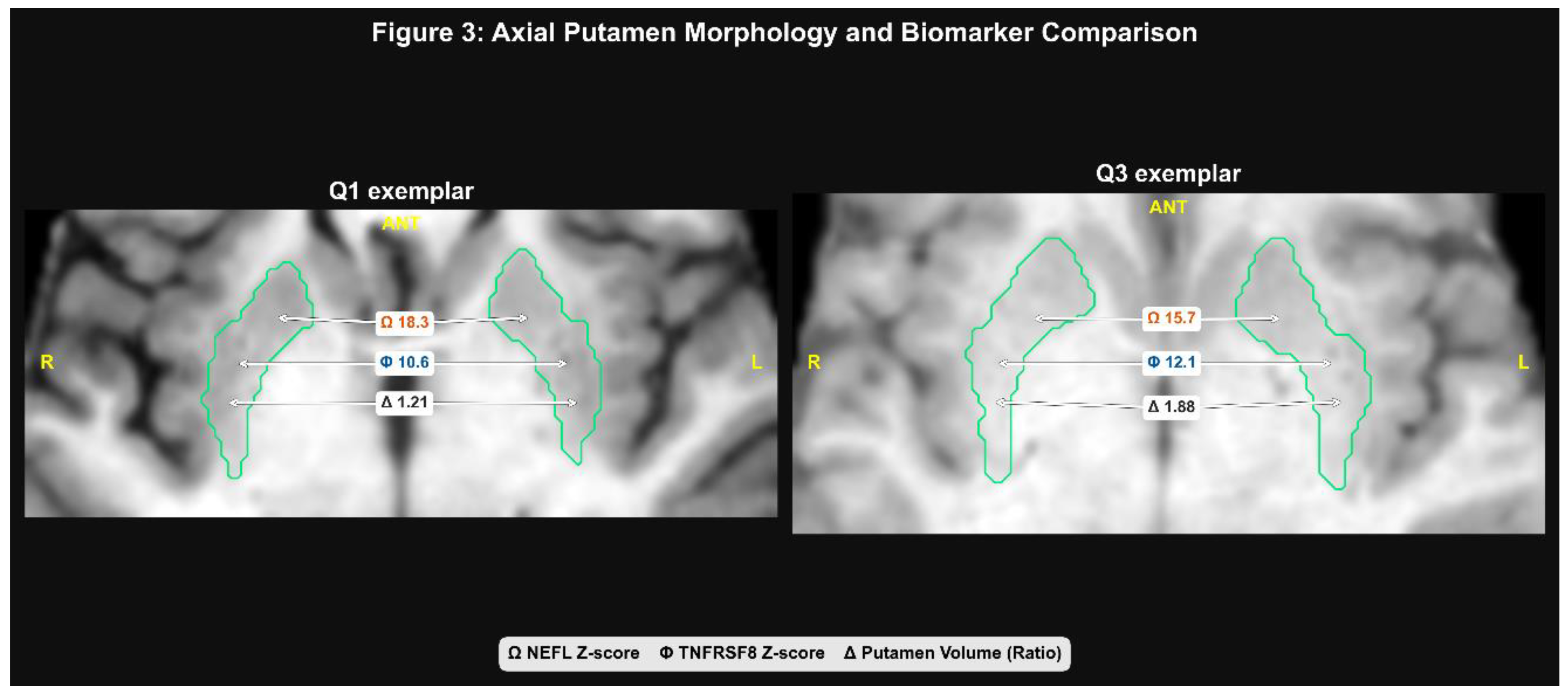 Preprints 195635 g003