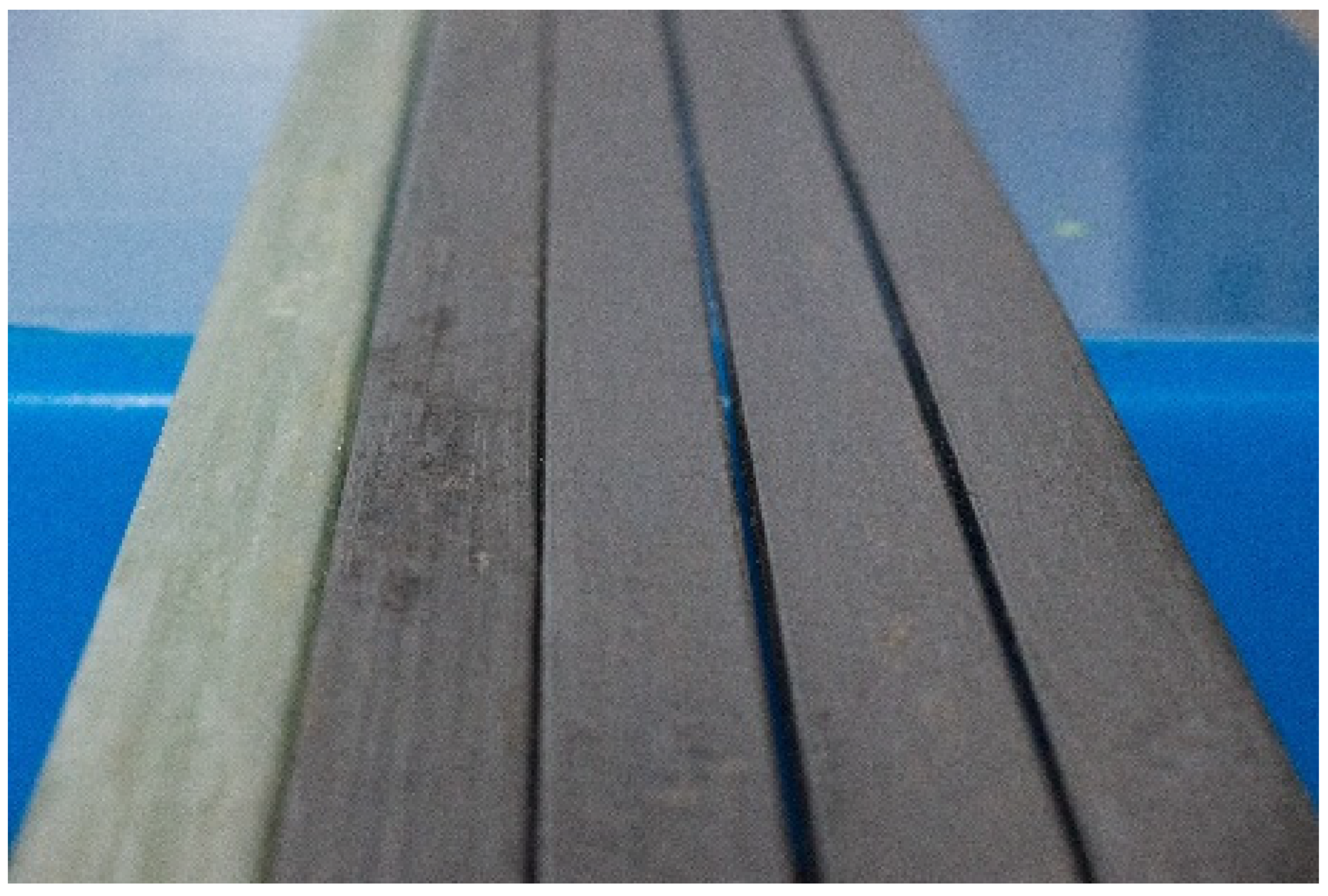 Preprints 102197 g002