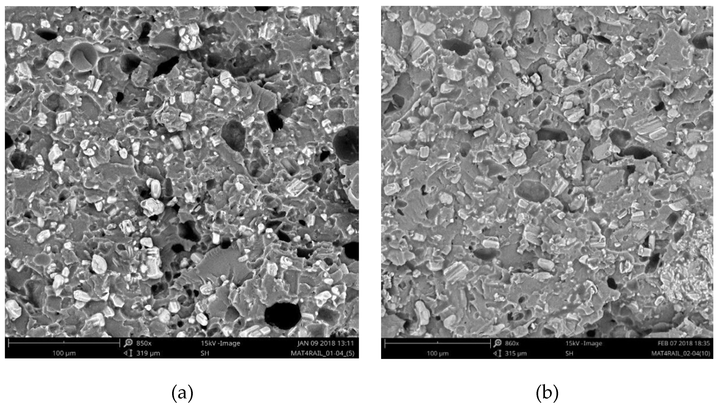 Preprints 102197 g005
