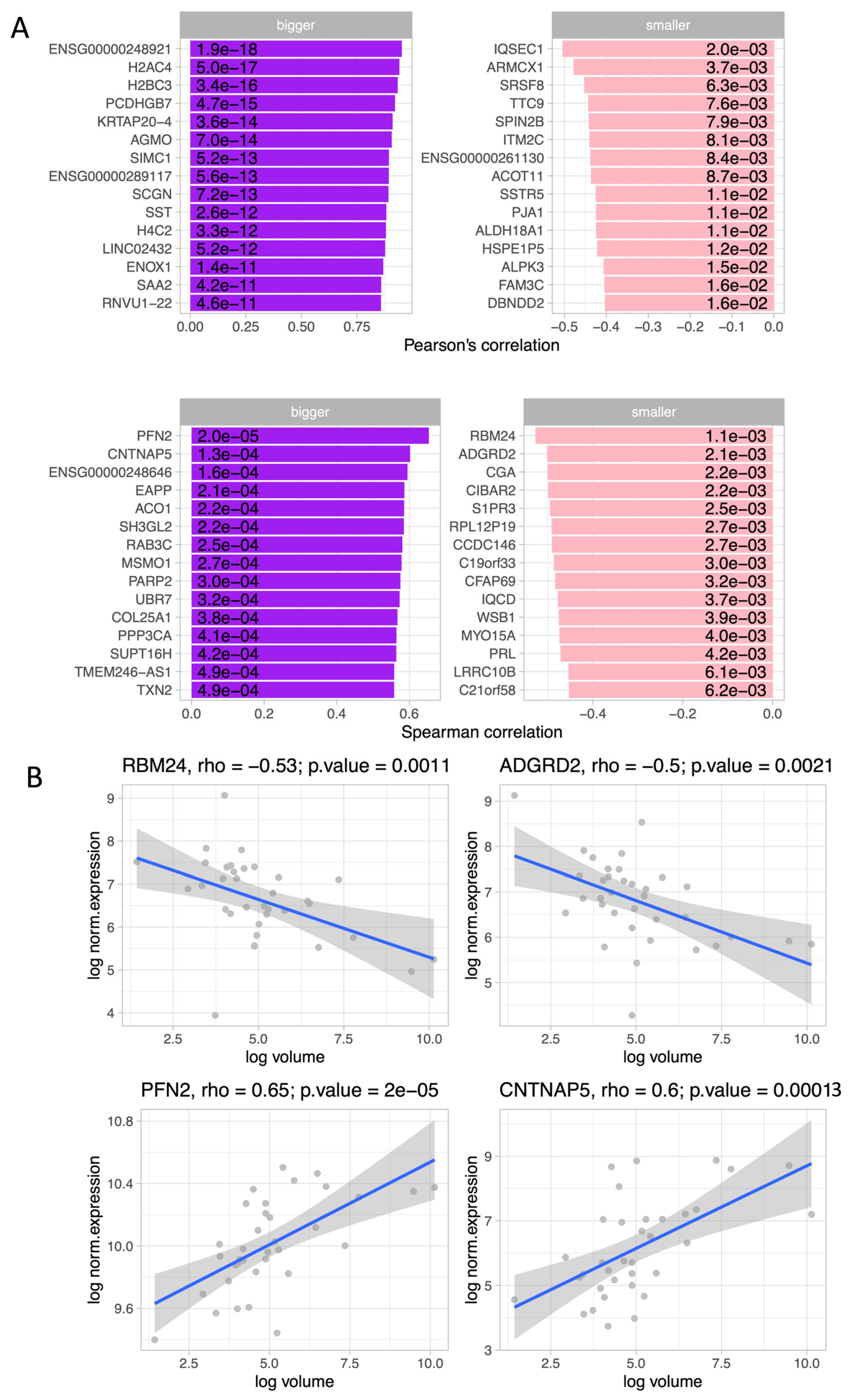 Preprints 164352 g004