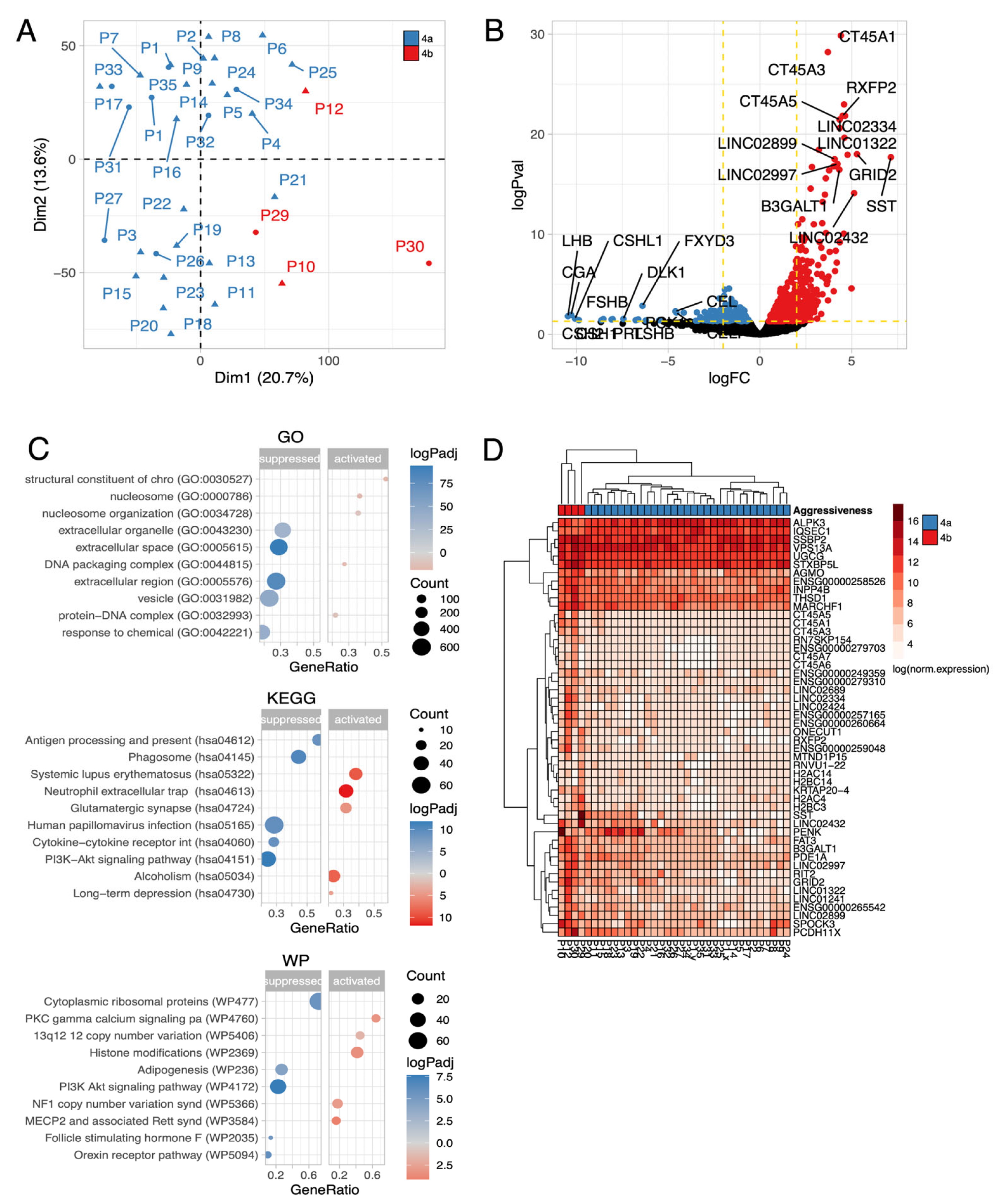 Preprints 164352 g006