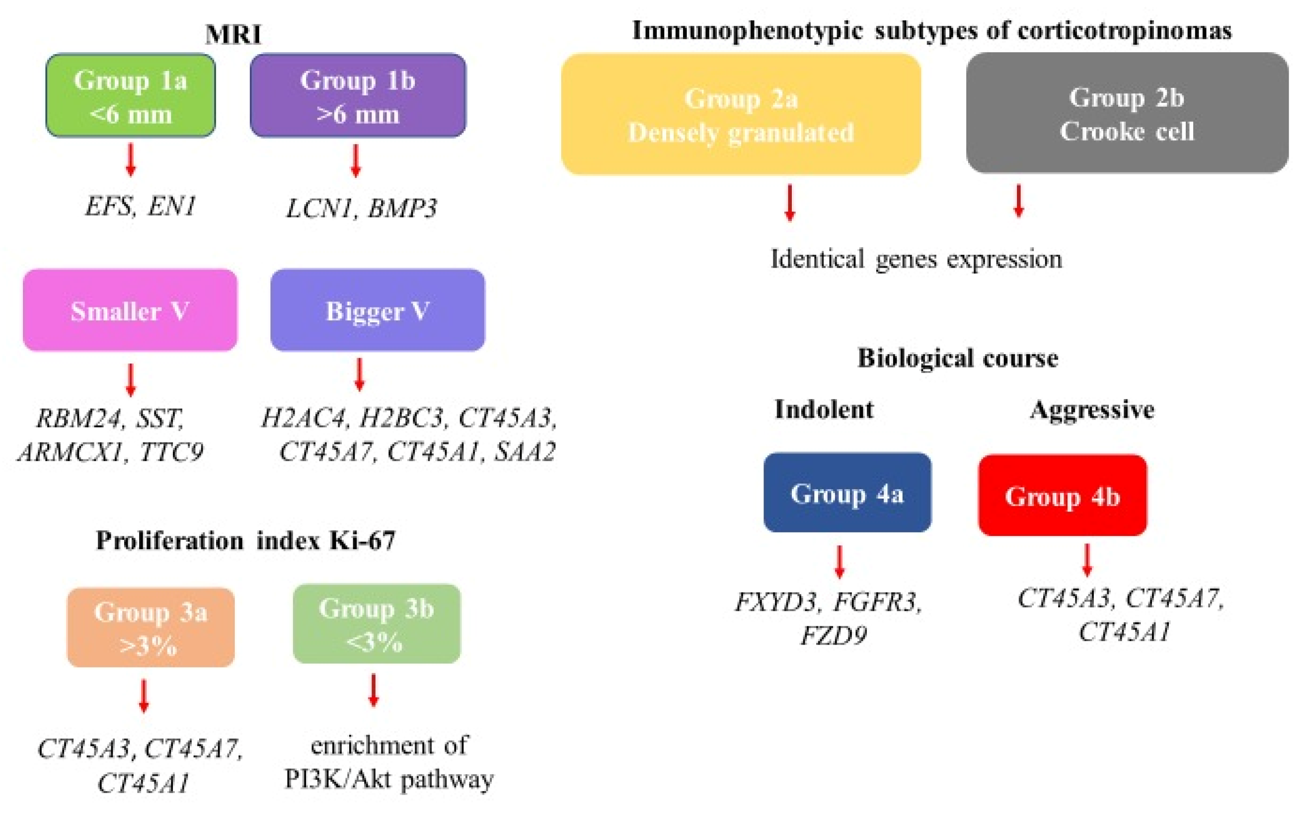 Preprints 164352 g007