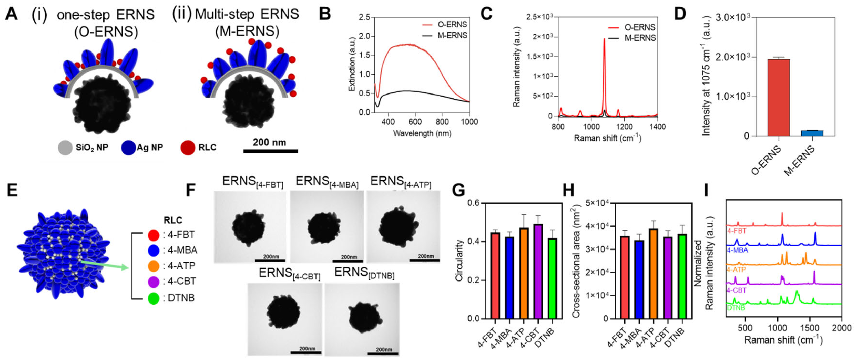 Preprints 194621 g003