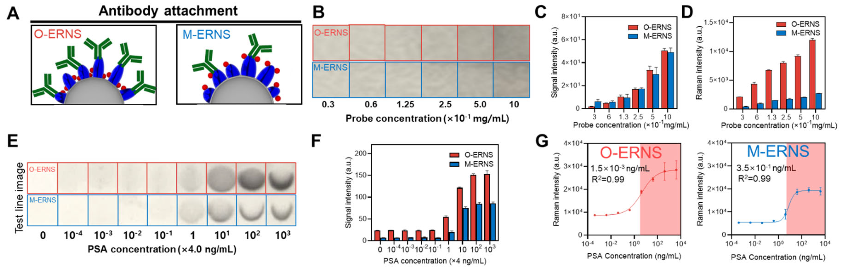 Preprints 194621 g004