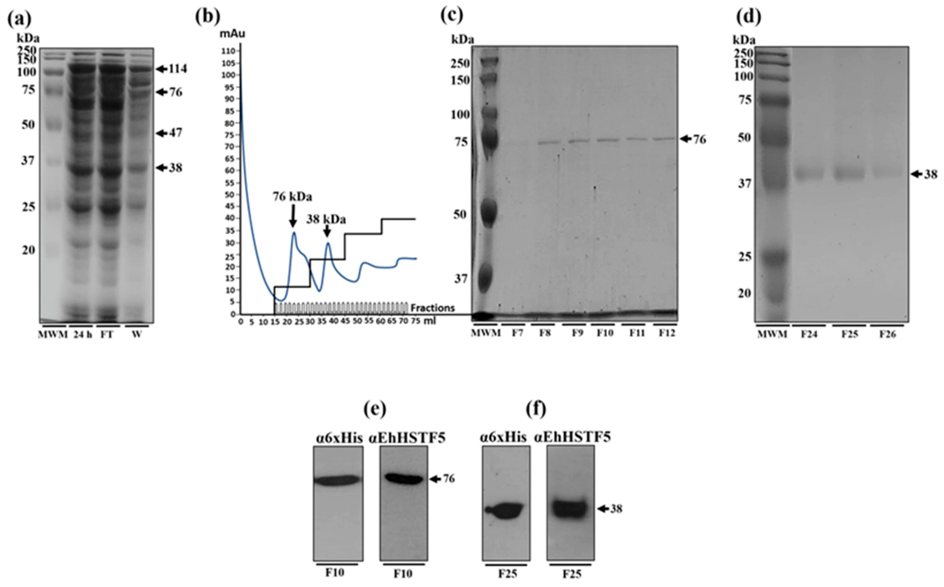 Preprints 101109 g002