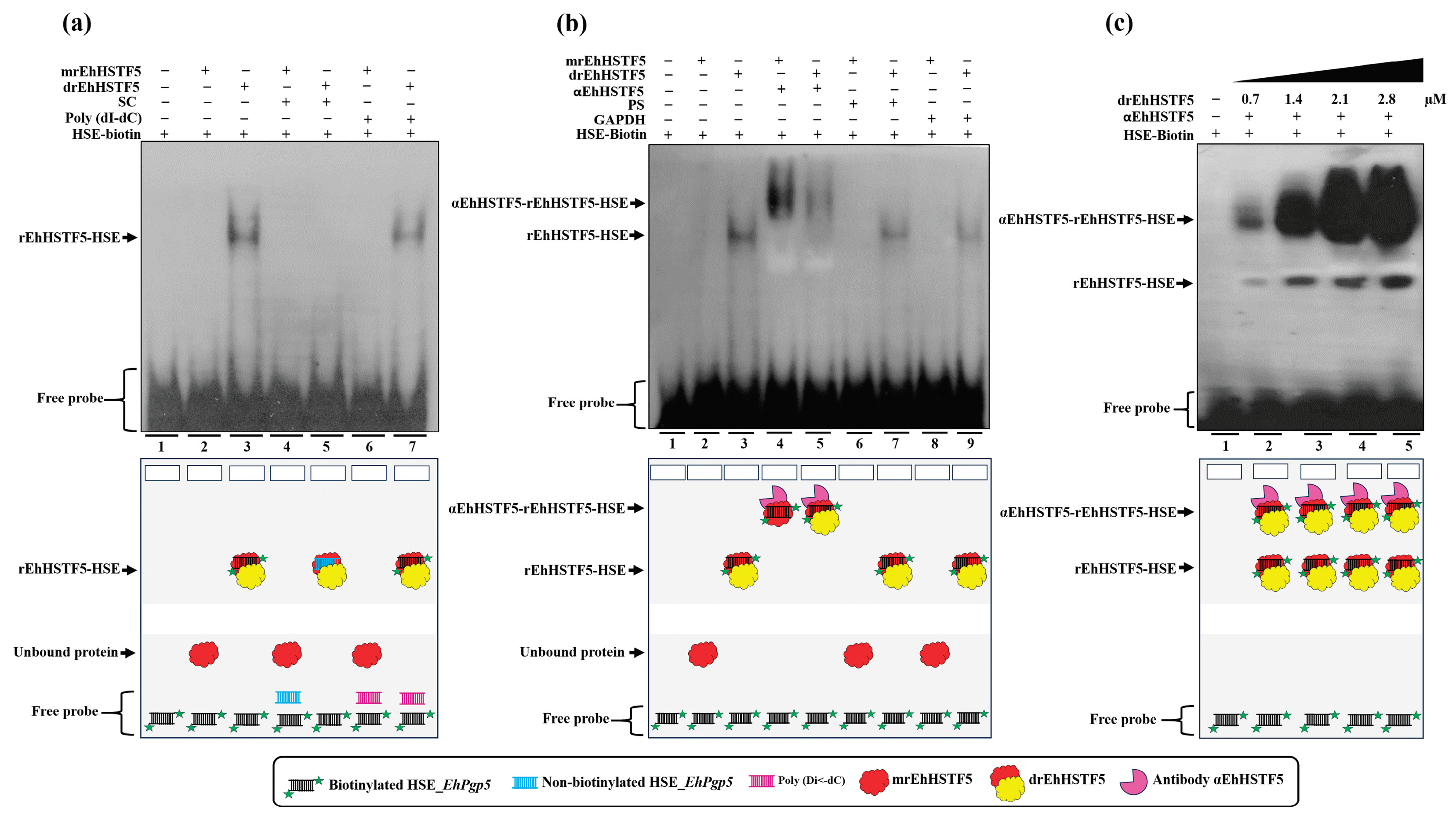 Preprints 101109 g004