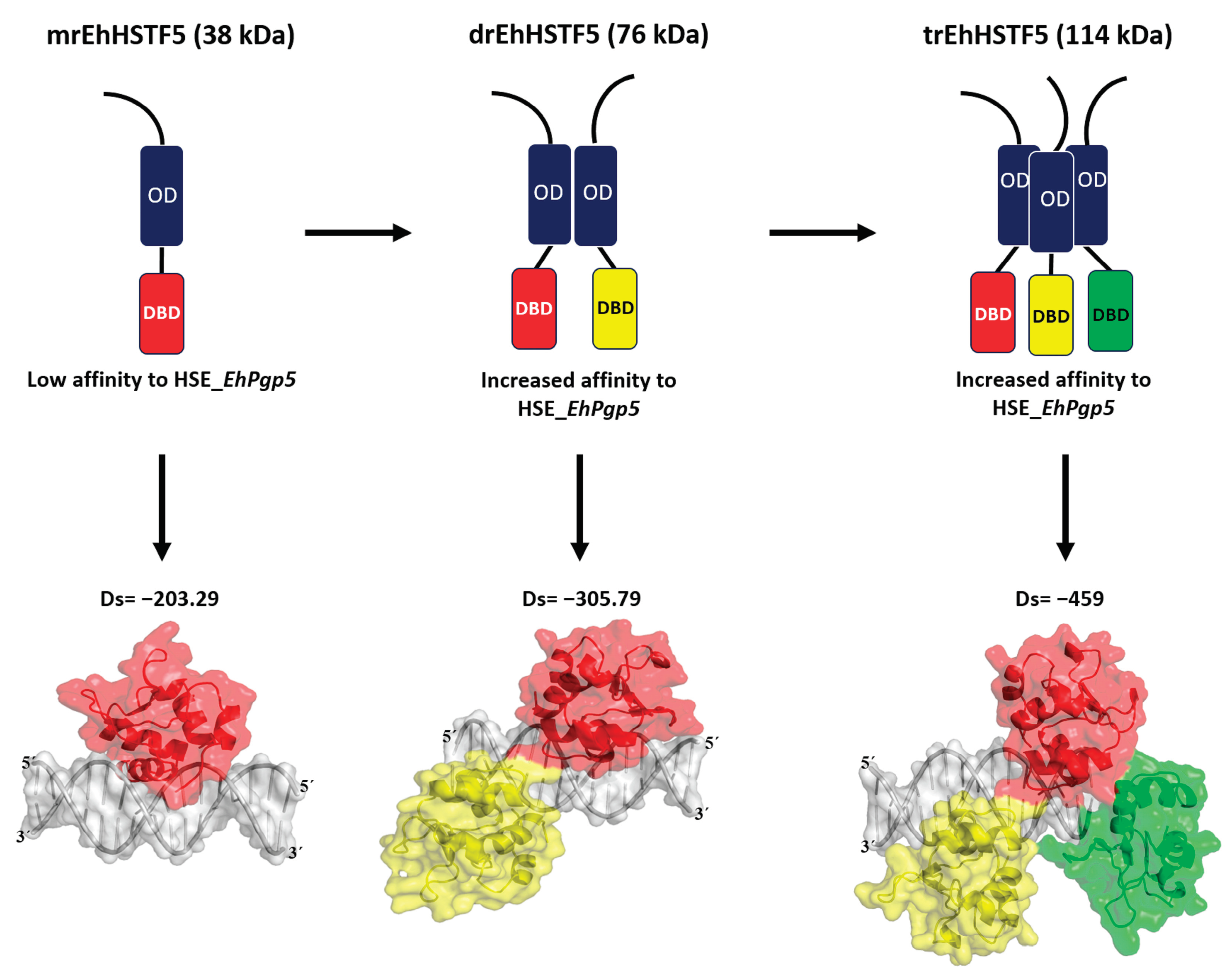 Preprints 101109 g009