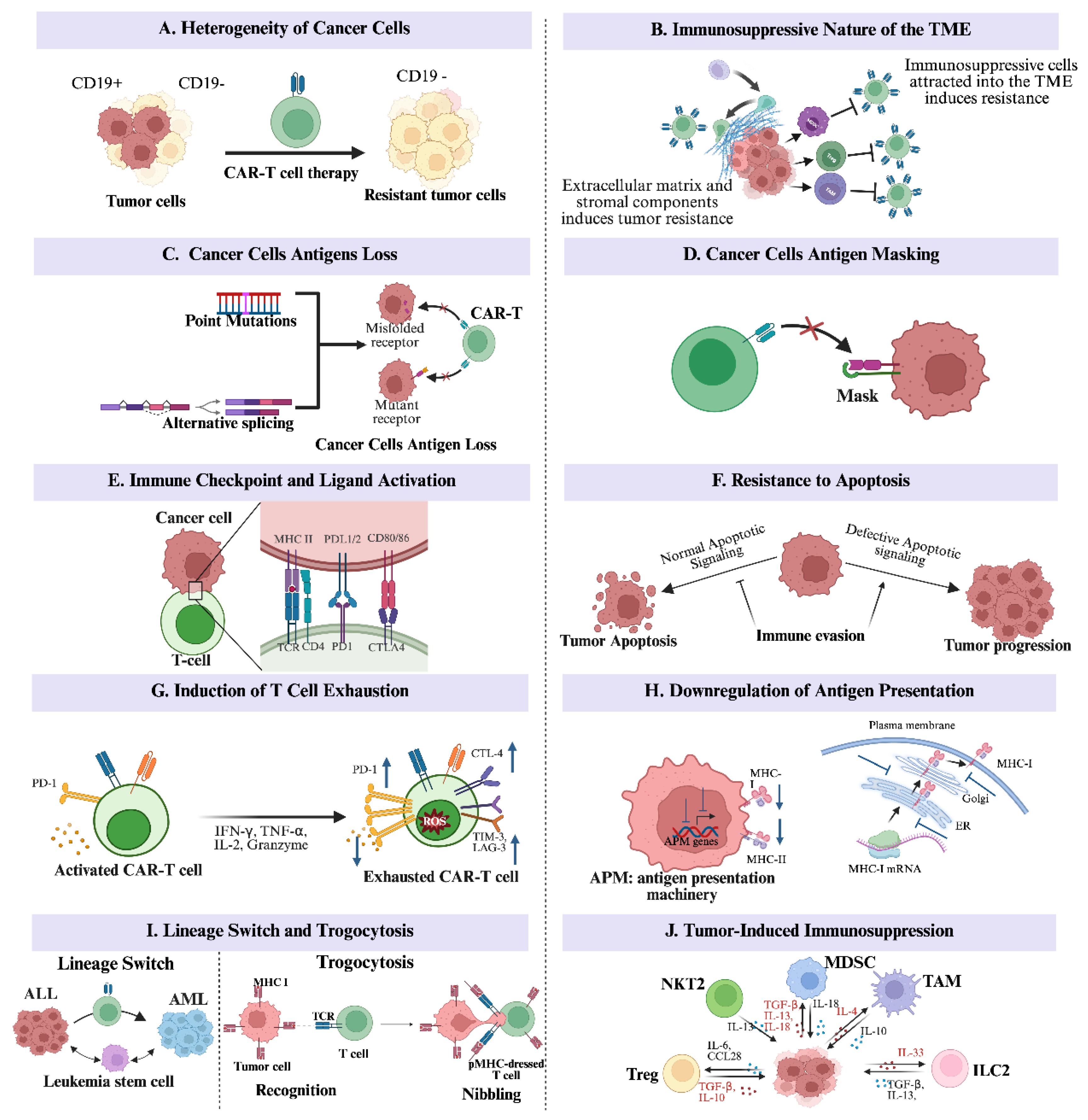 Preprints 185327 g001