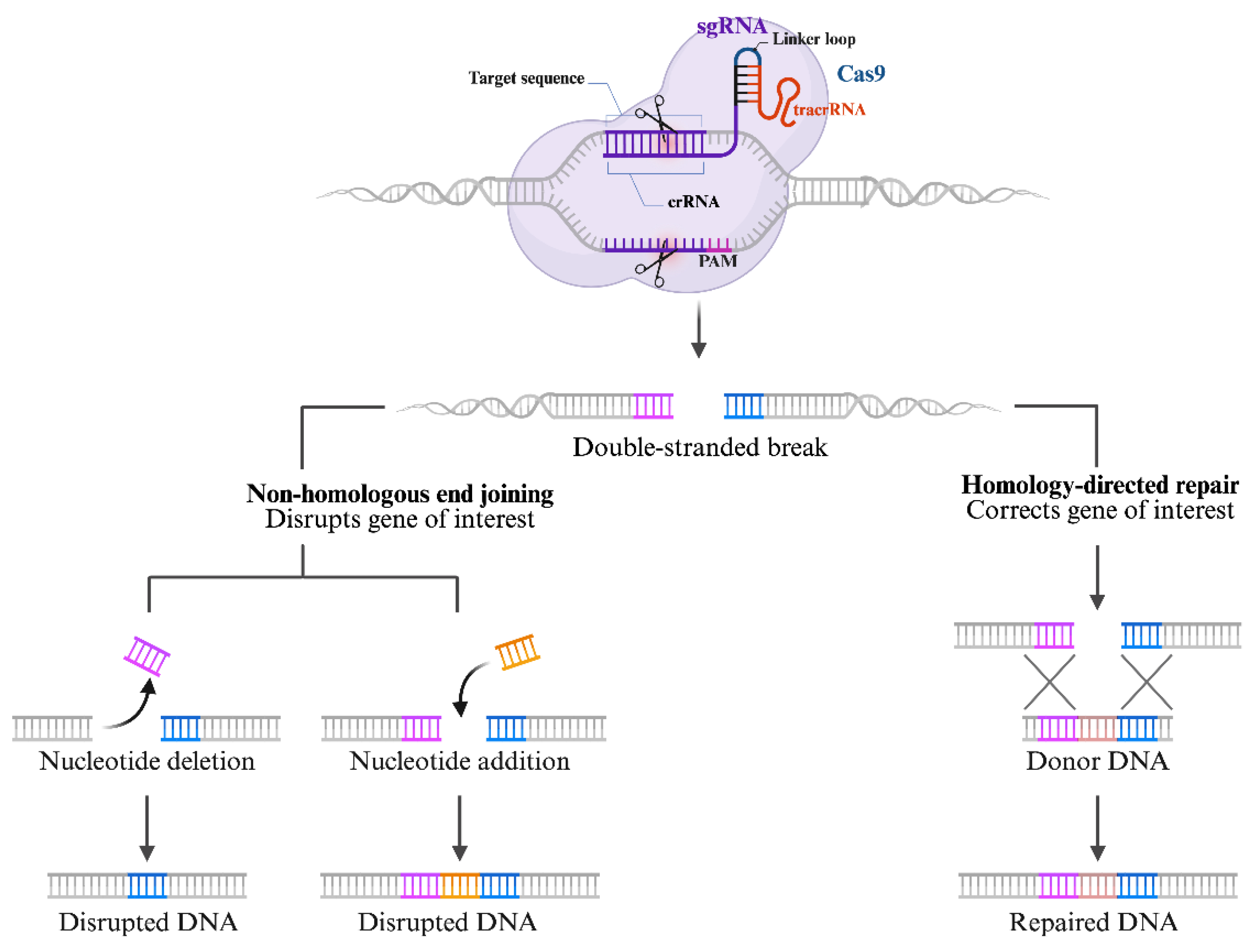 Preprints 185327 g002