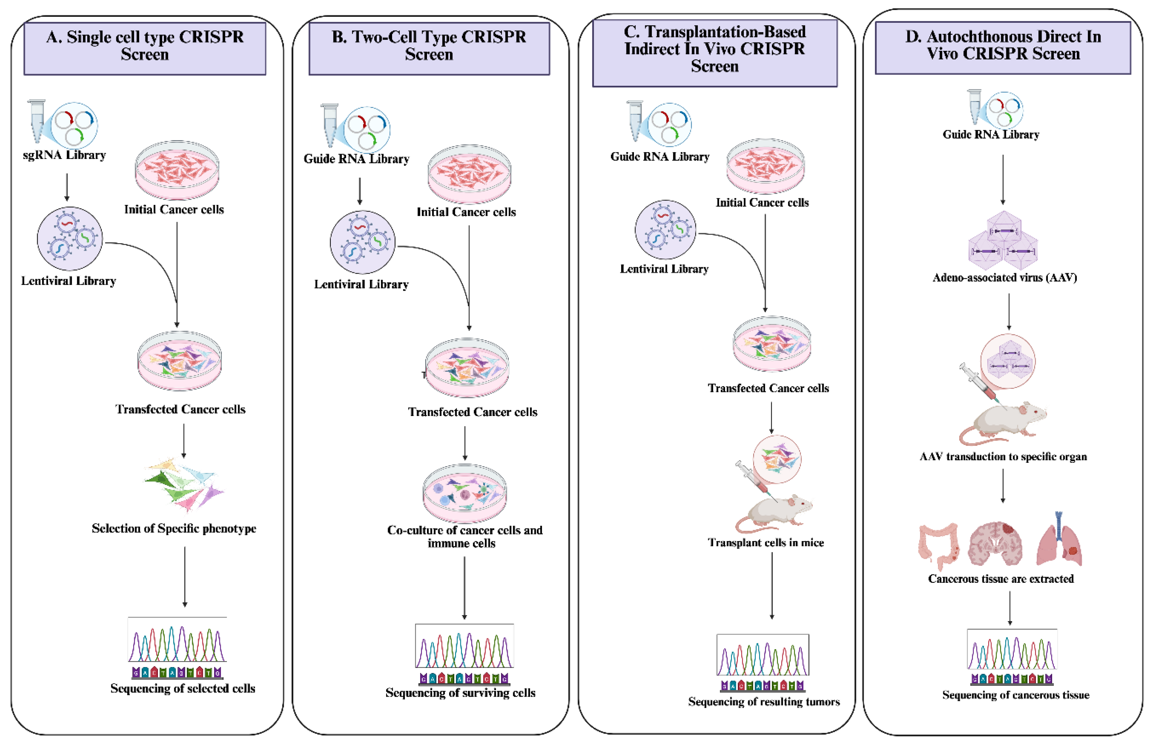 Preprints 185327 g003