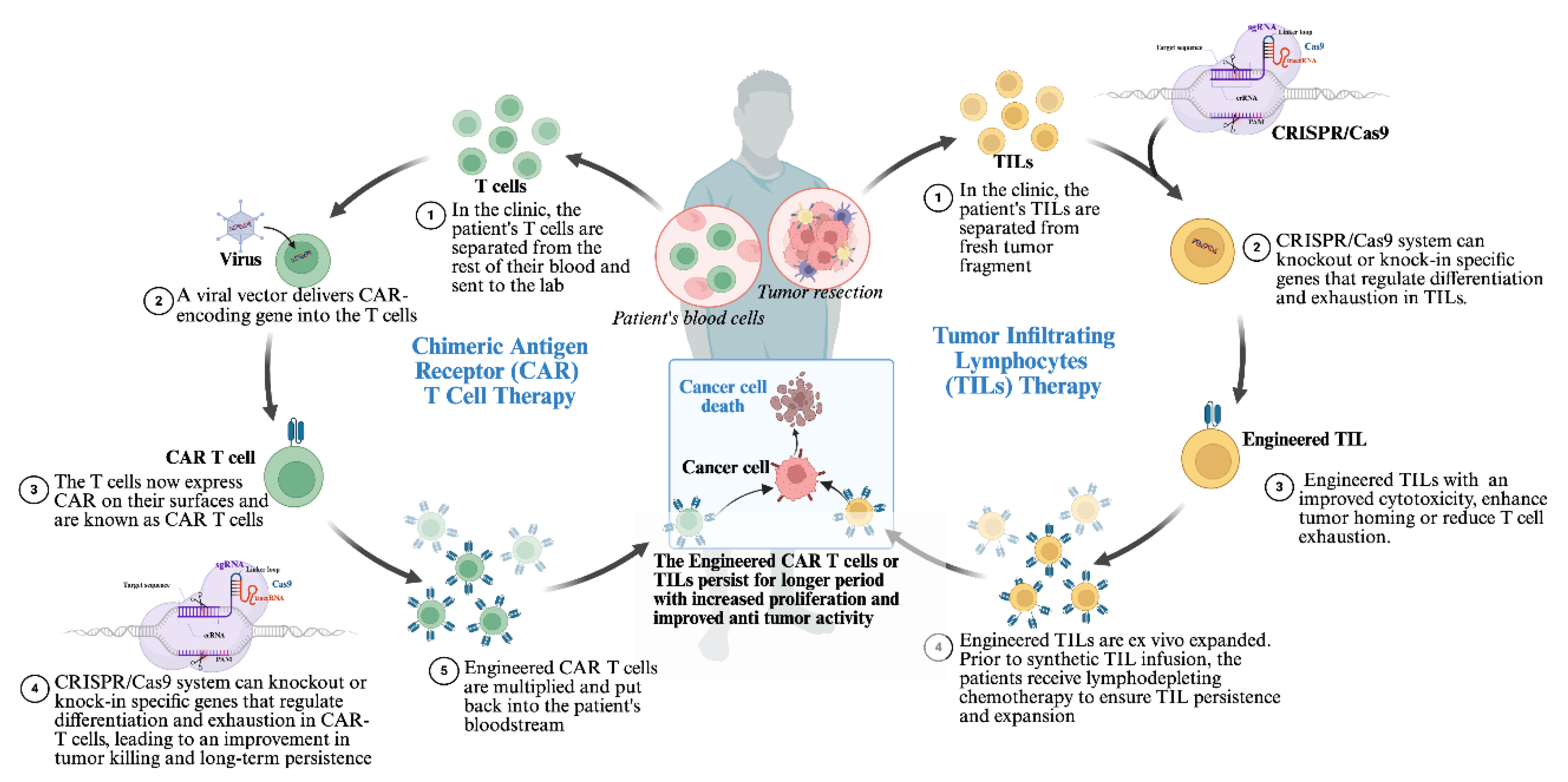 Preprints 185327 g004