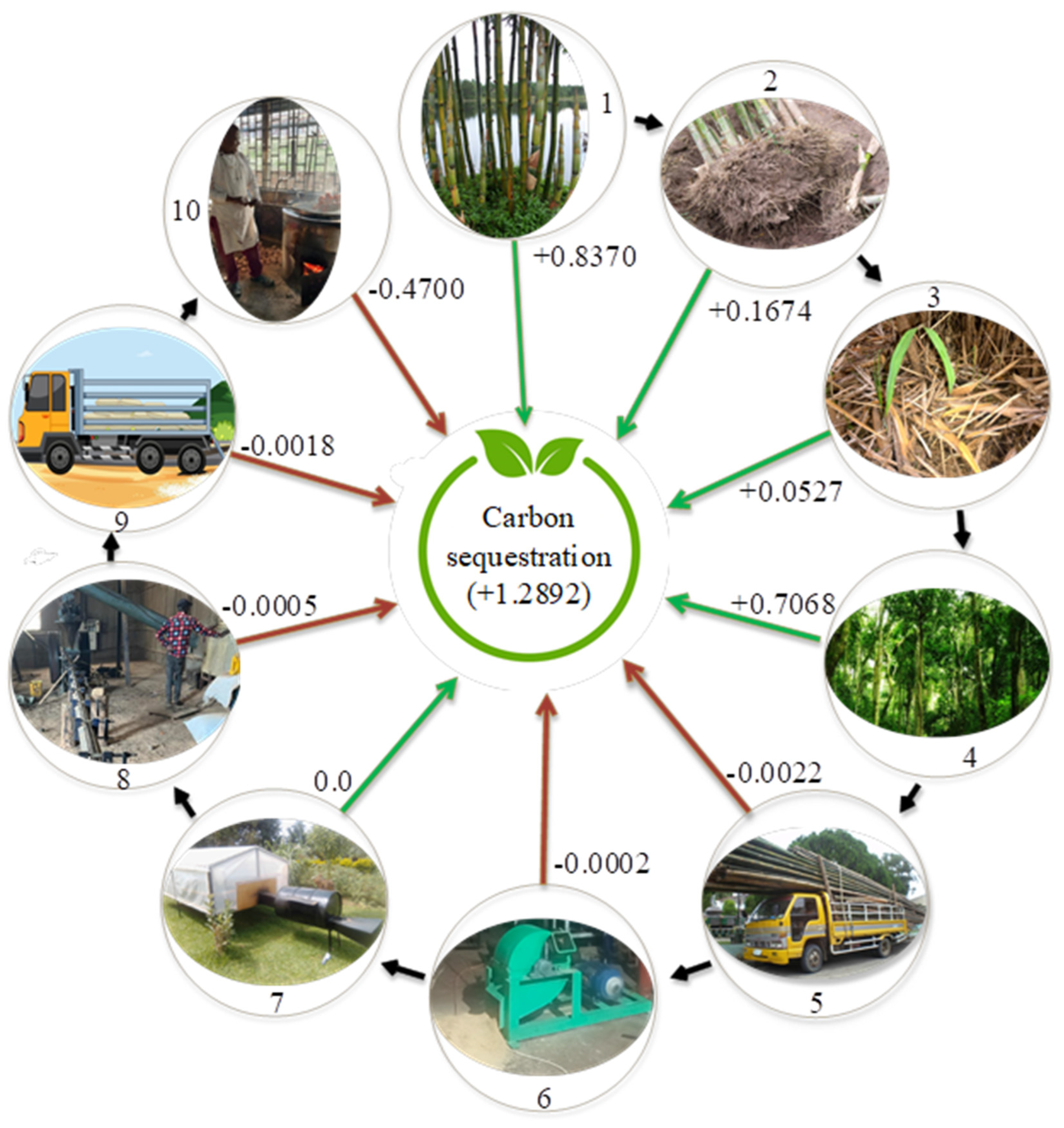 Preprints 169645 g002