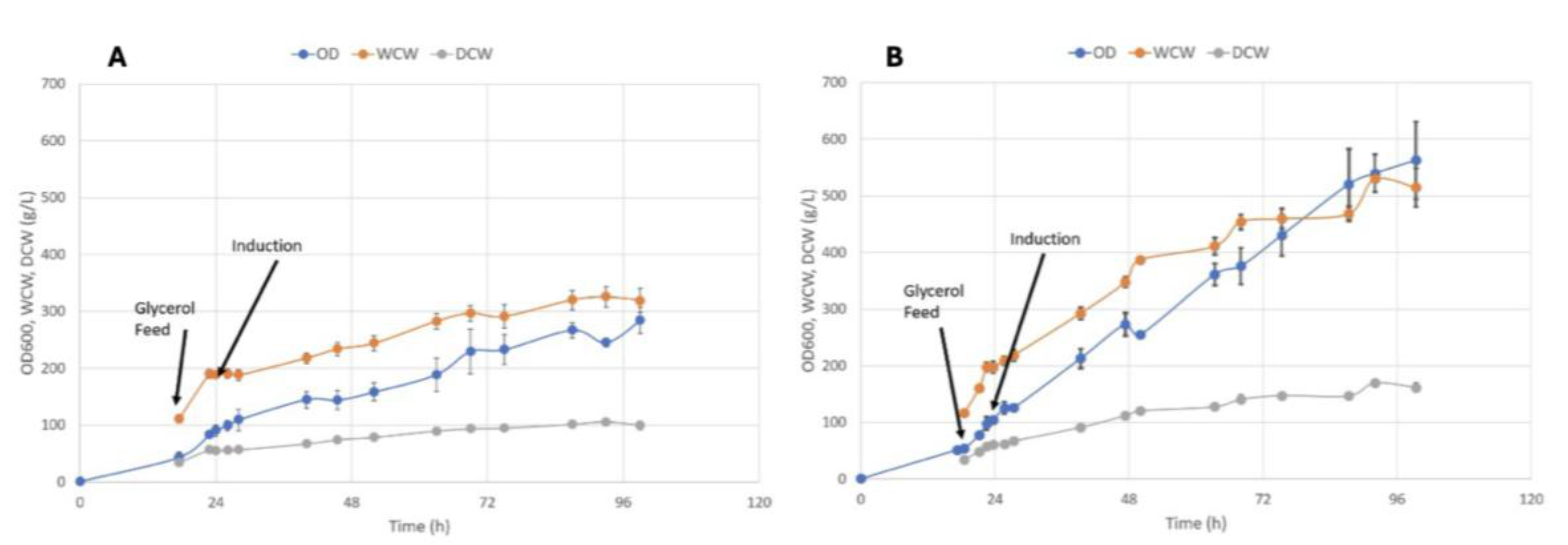 Preprints 194525 g001