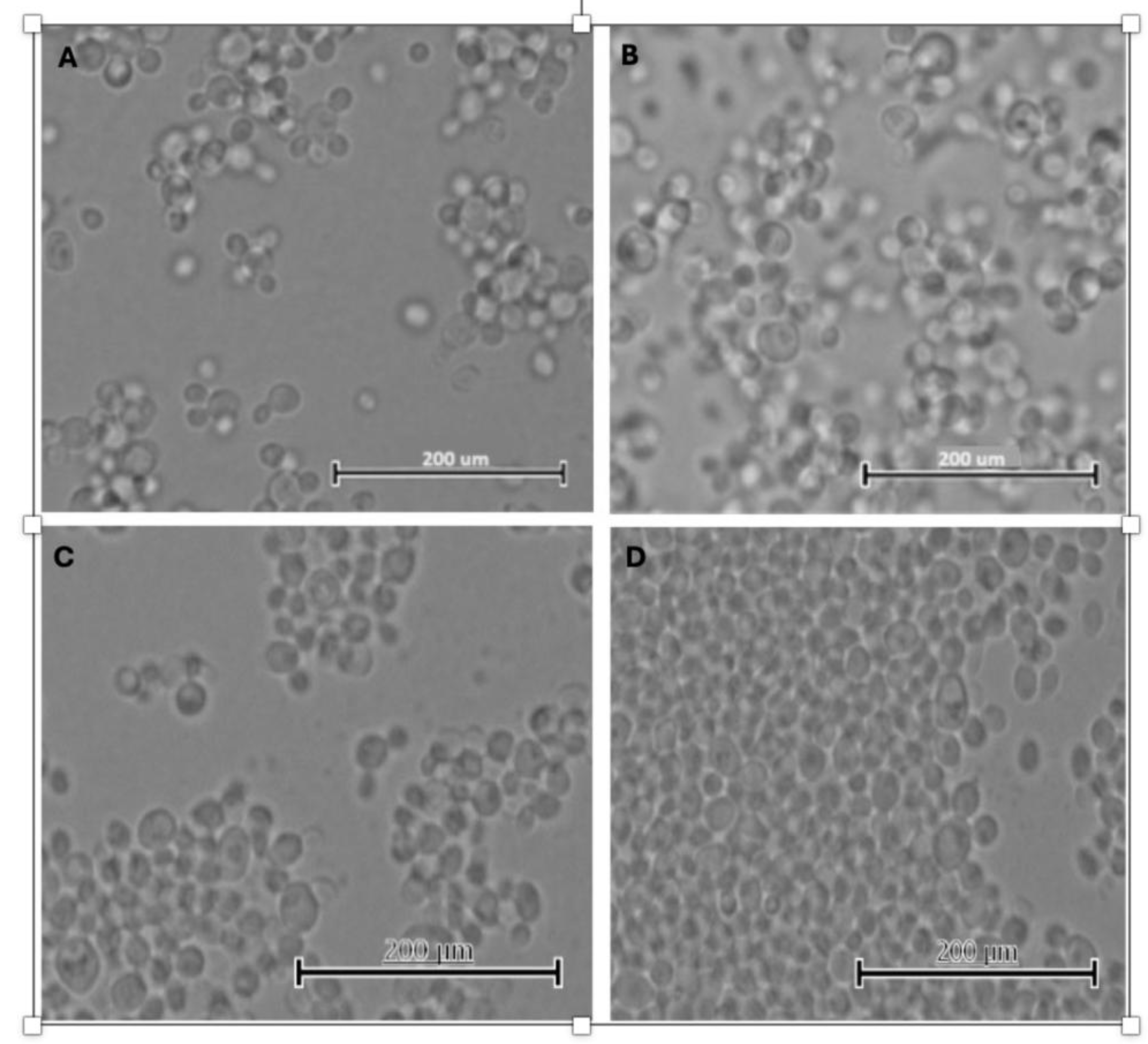 Preprints 194525 g003