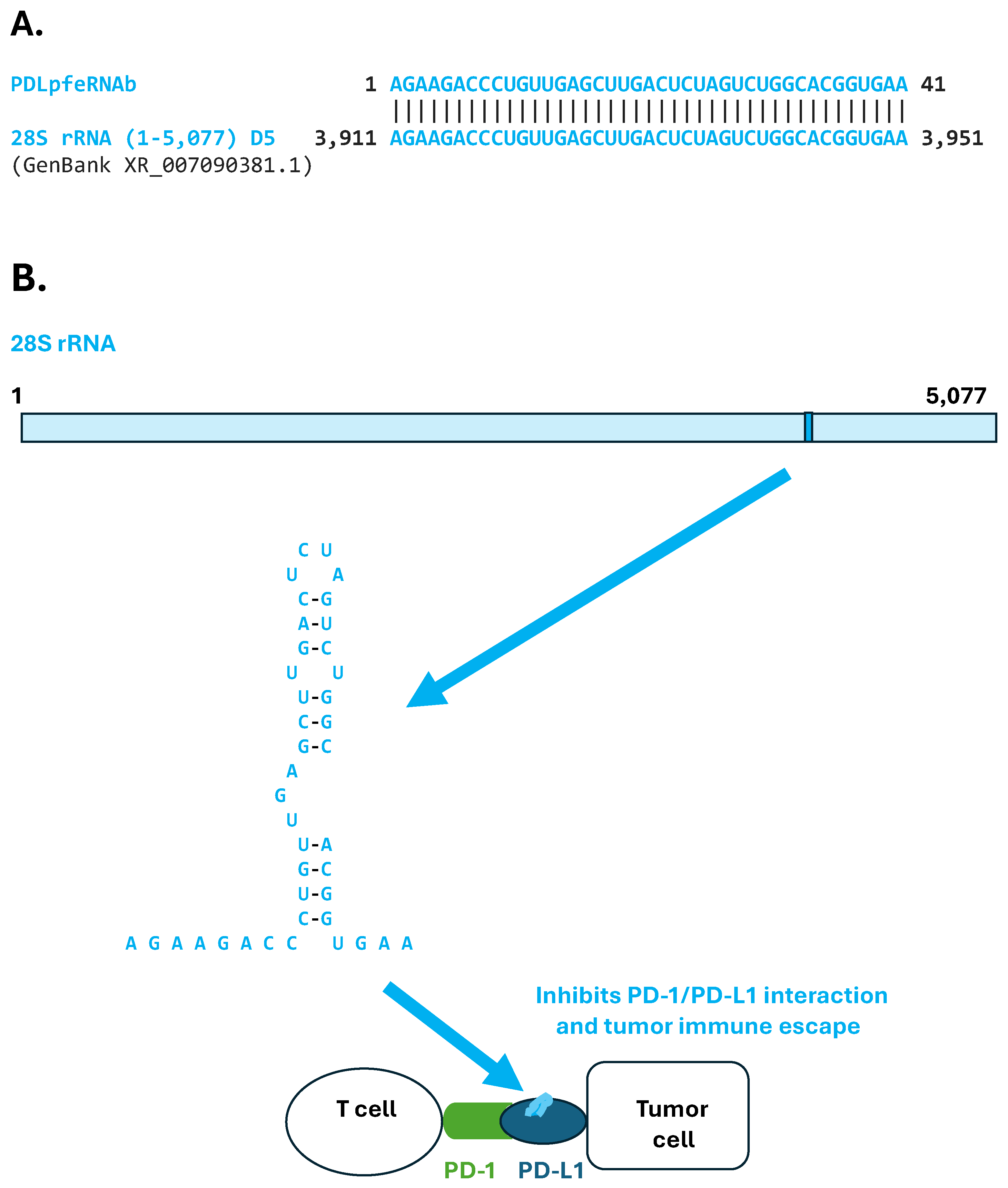 Preprints 158076 g002