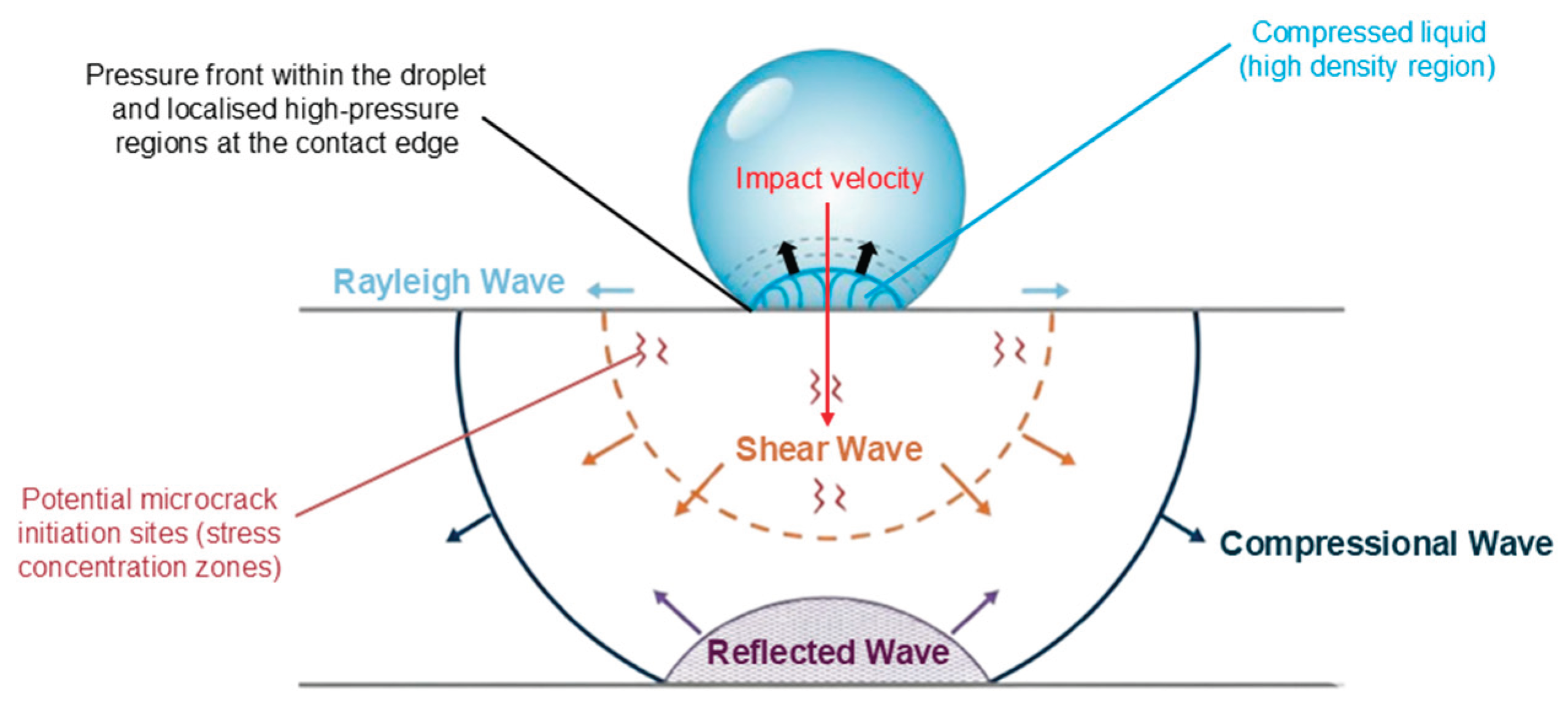 Preprints 181497 g001