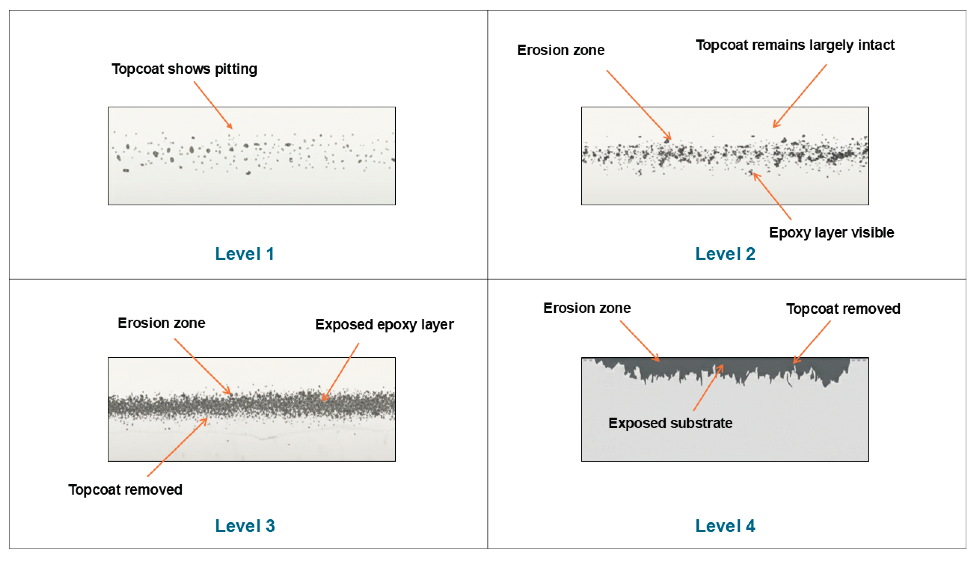 Preprints 181497 g002