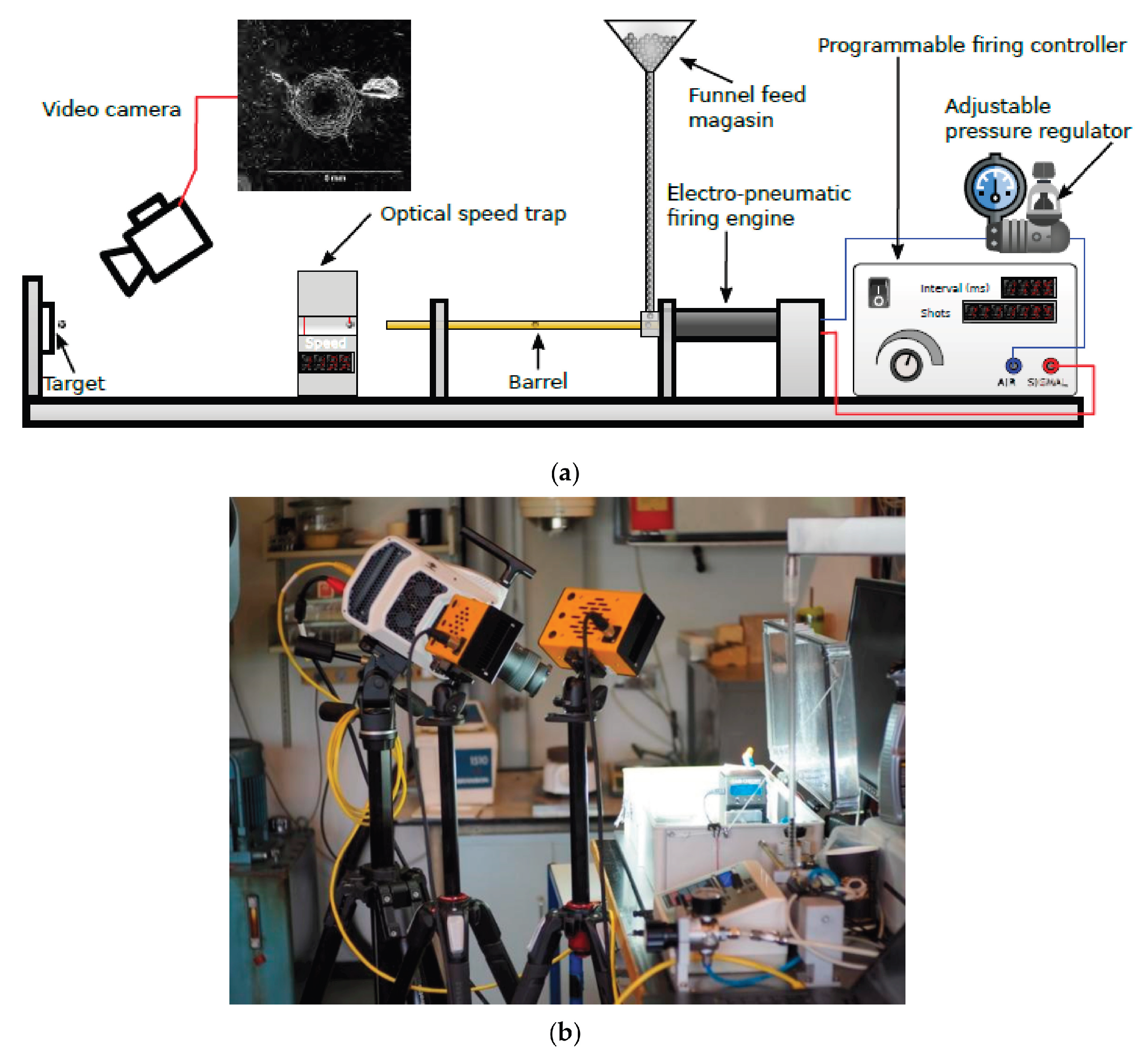 Preprints 181497 g009