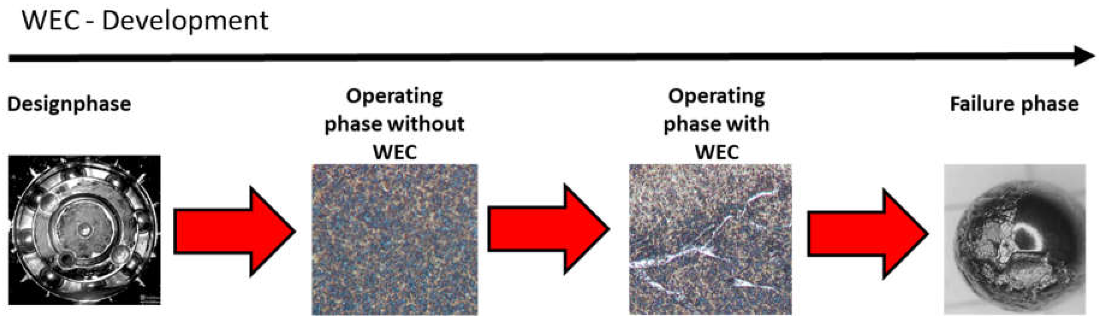 Preprints 112090 g001