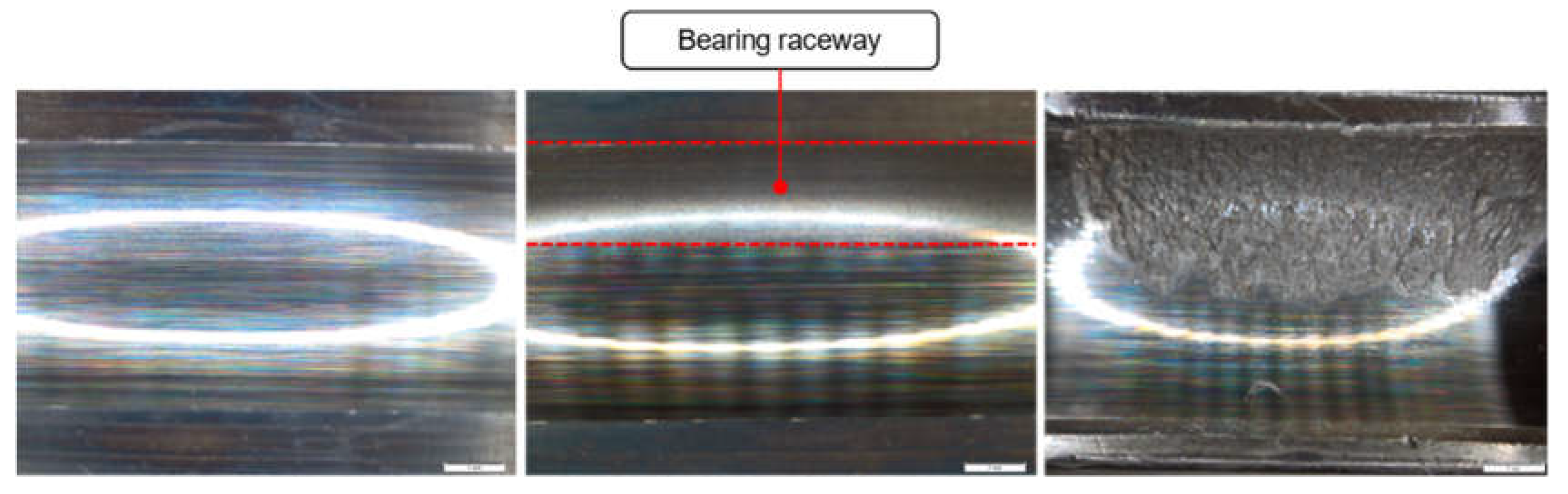 Preprints 112090 g010