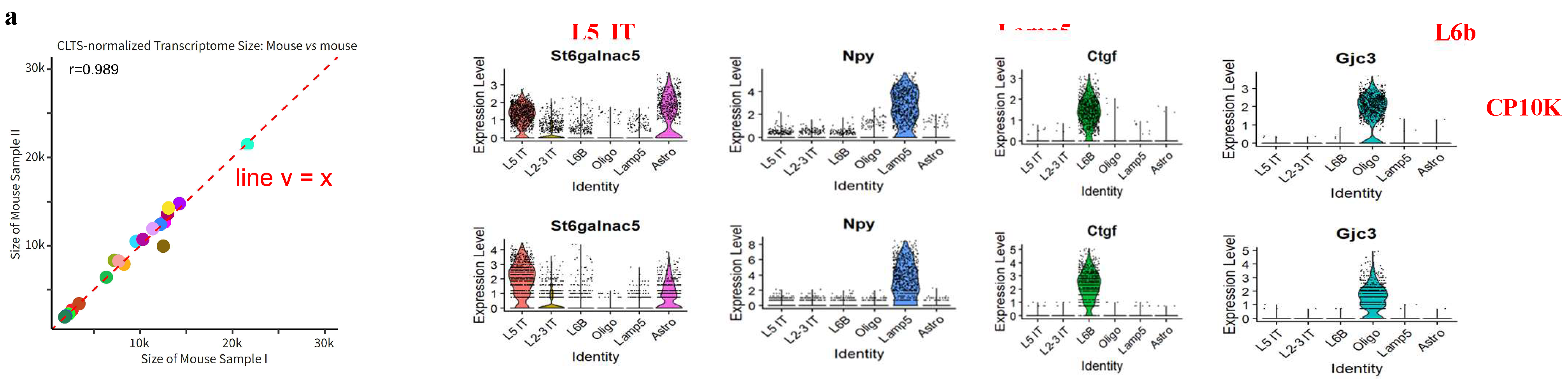 Preprints 154349 g003