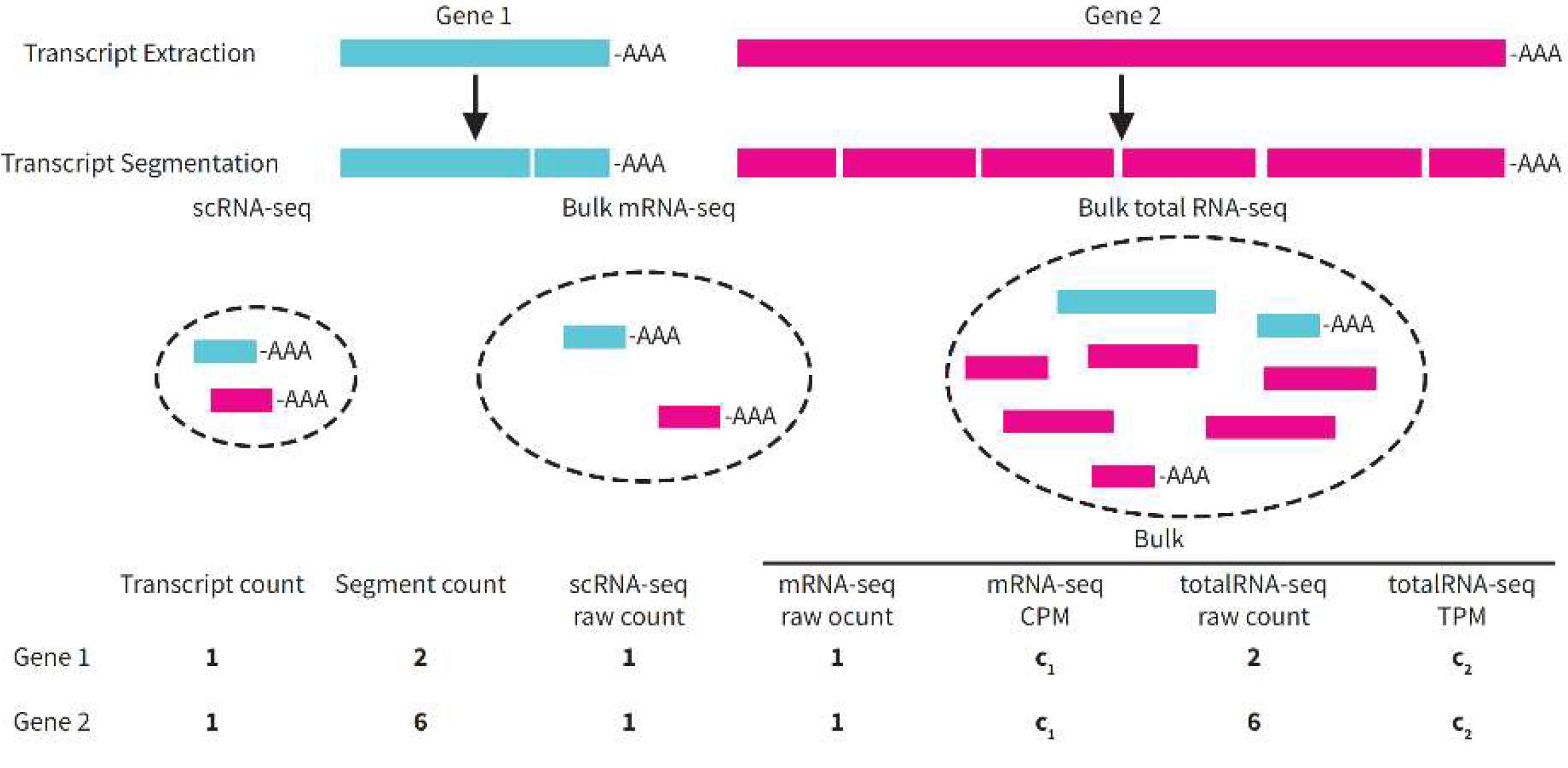 Preprints 154349 g007