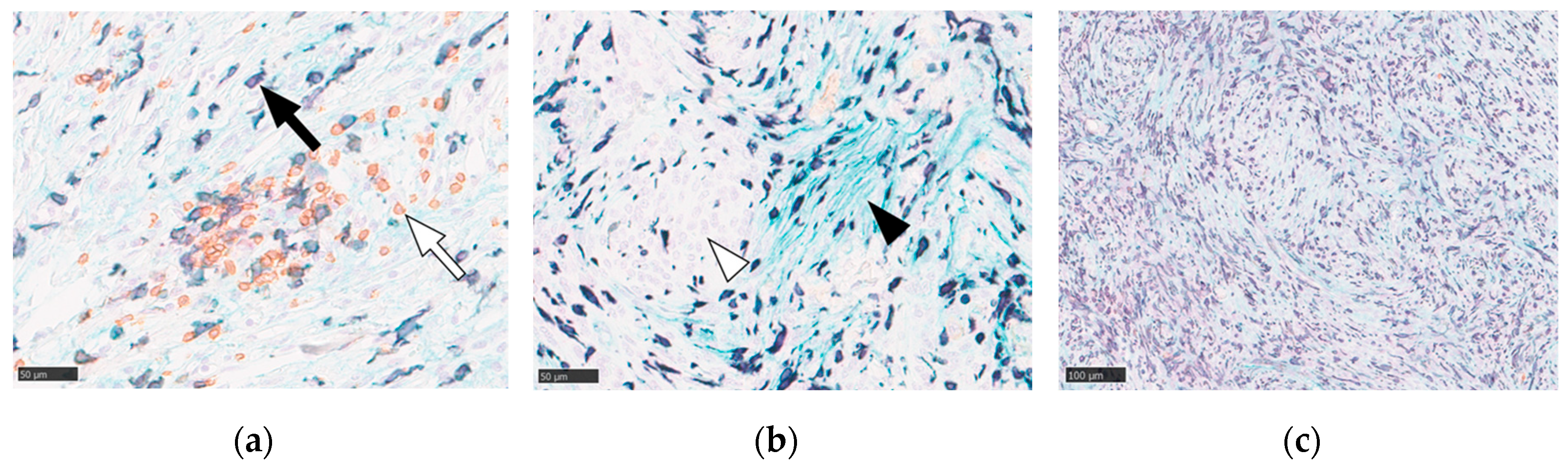 Preprints 192098 g001