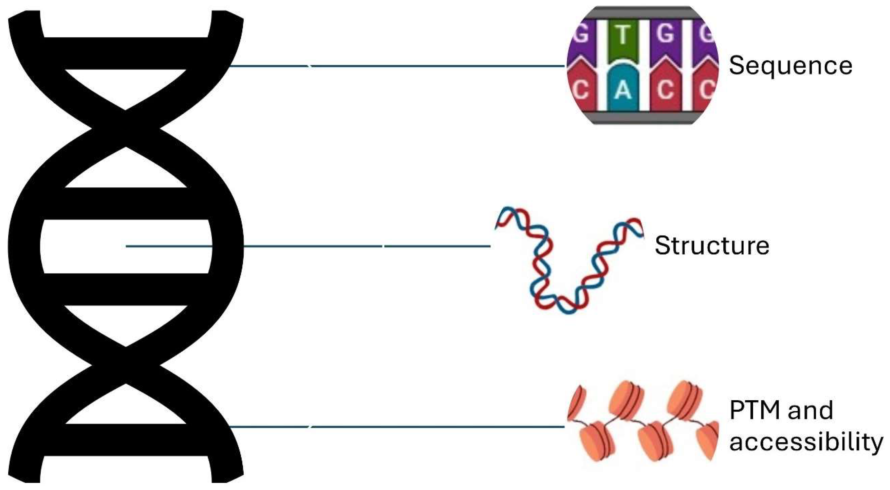 Preprints 142468 g001
