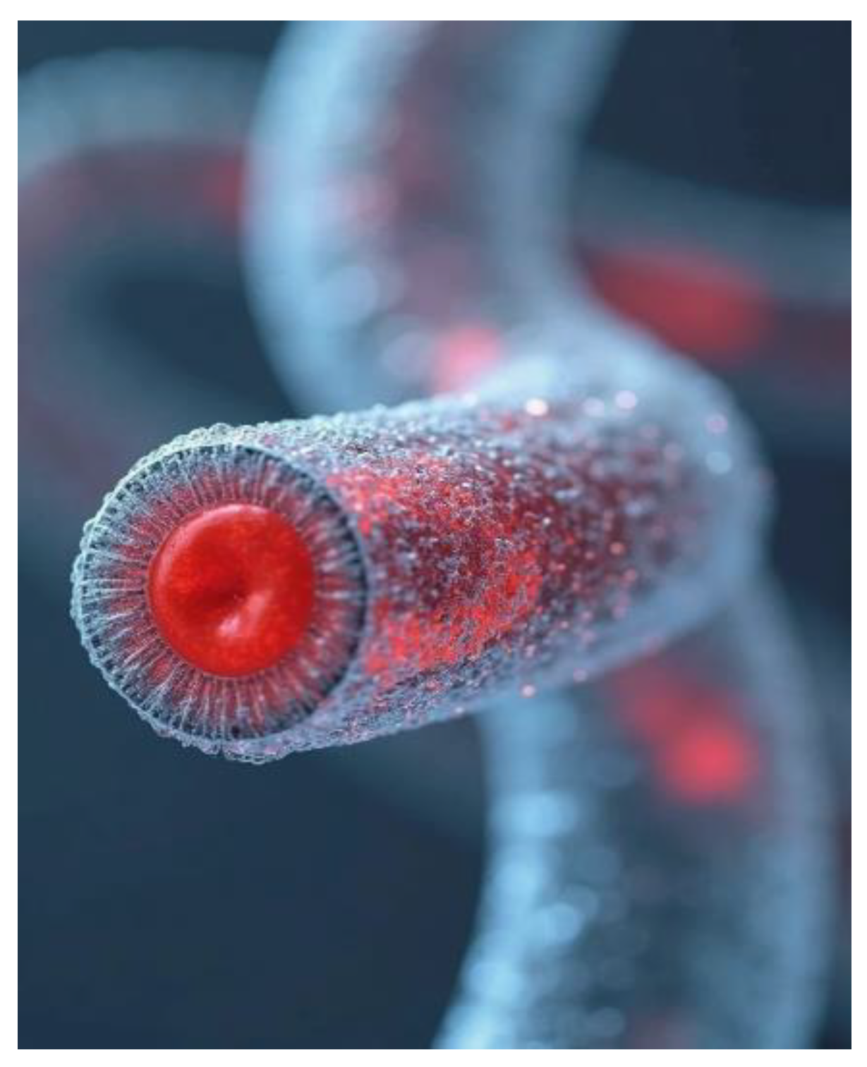 Preprints 166645 g002