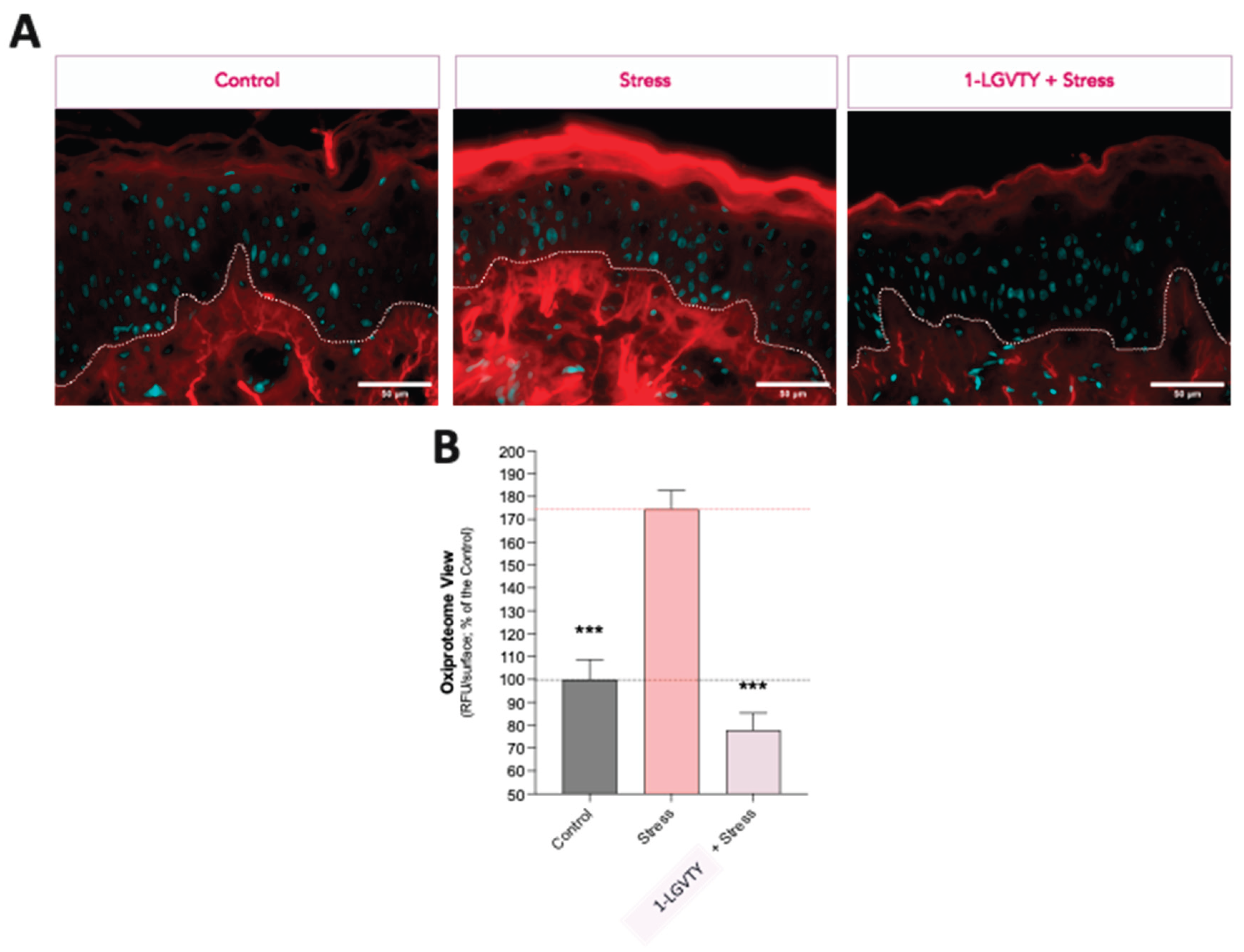 Preprints 210169 g001
