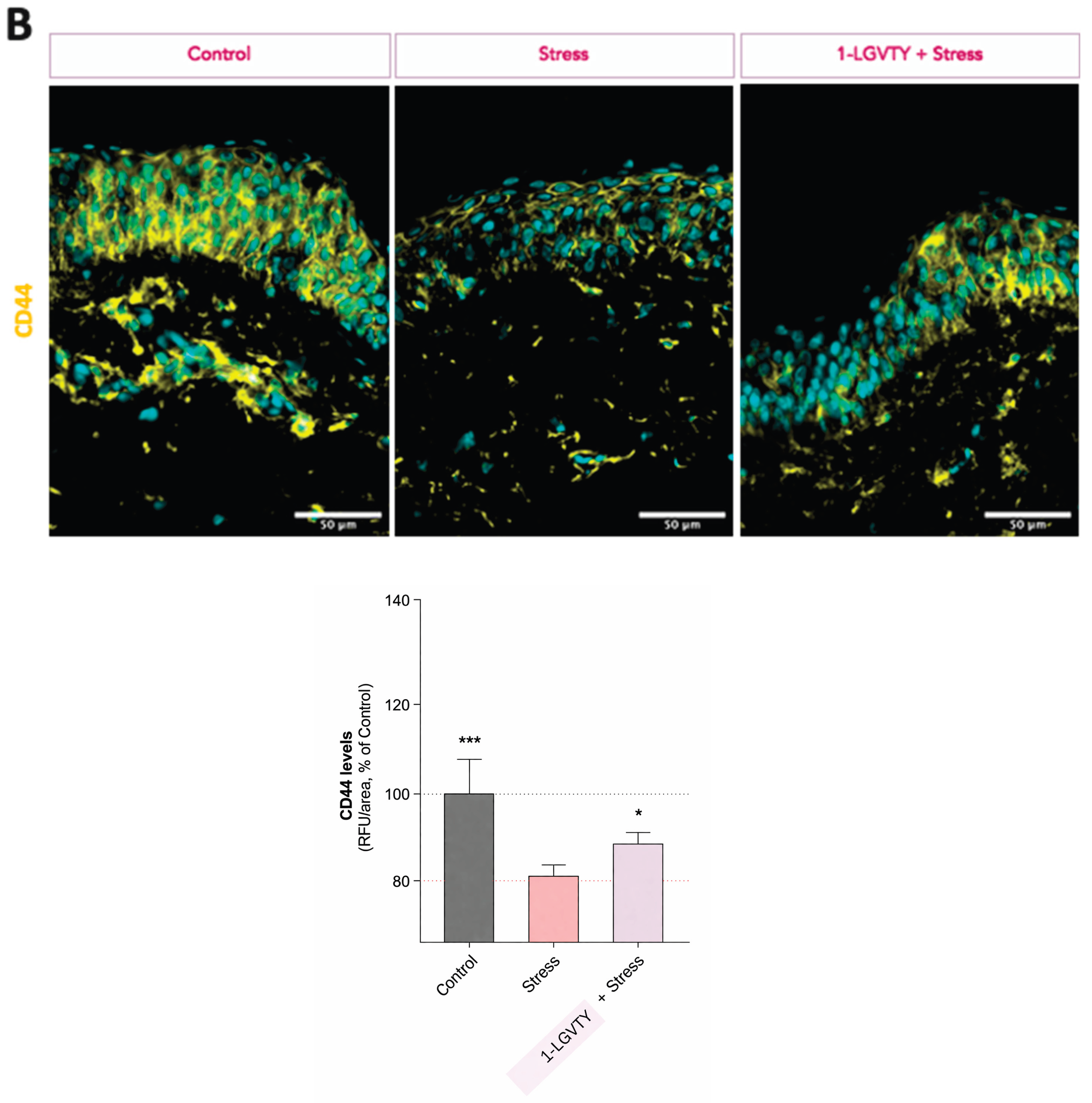 Preprints 210169 g003b
