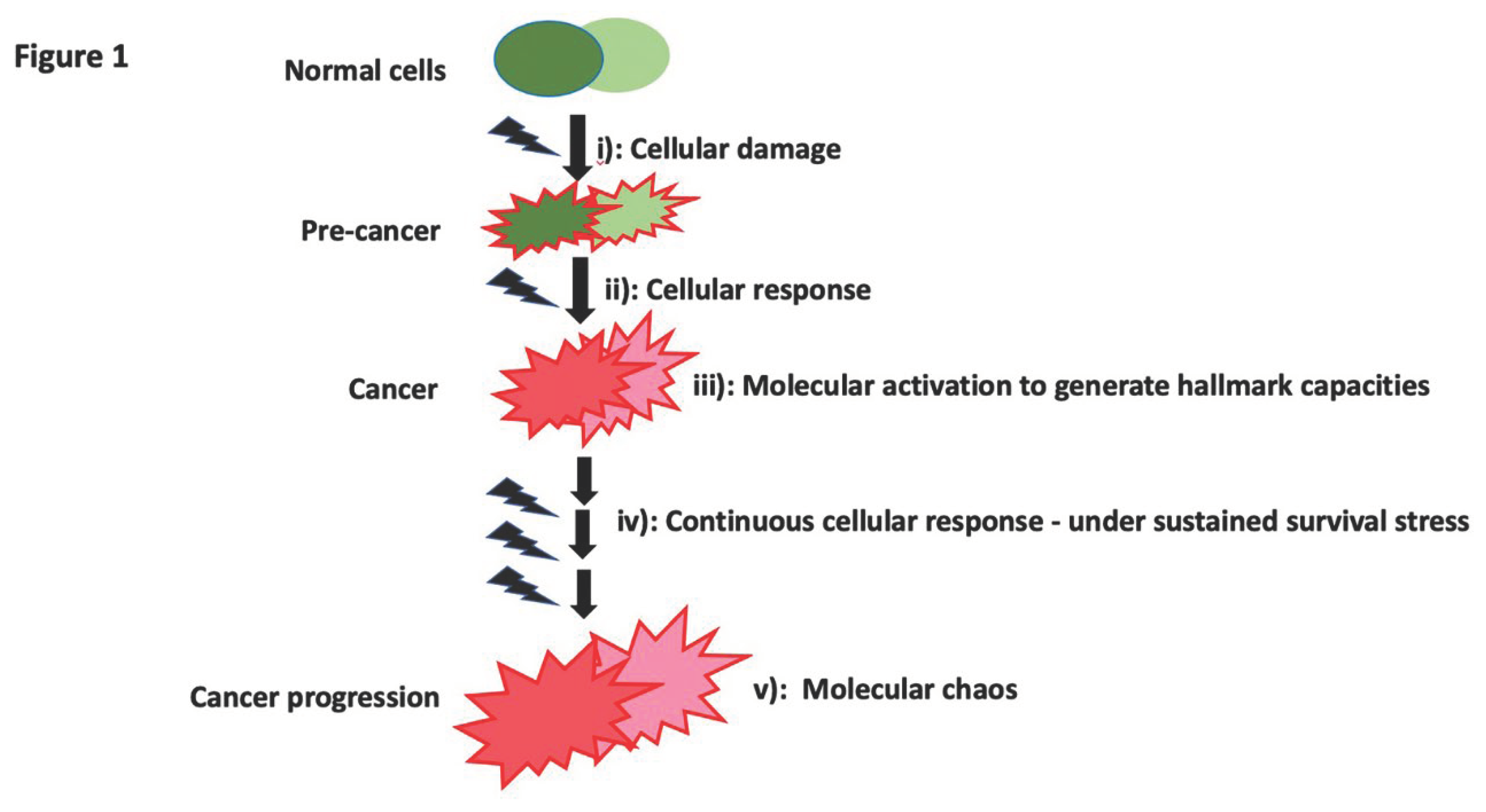 Preprints 103376 g001