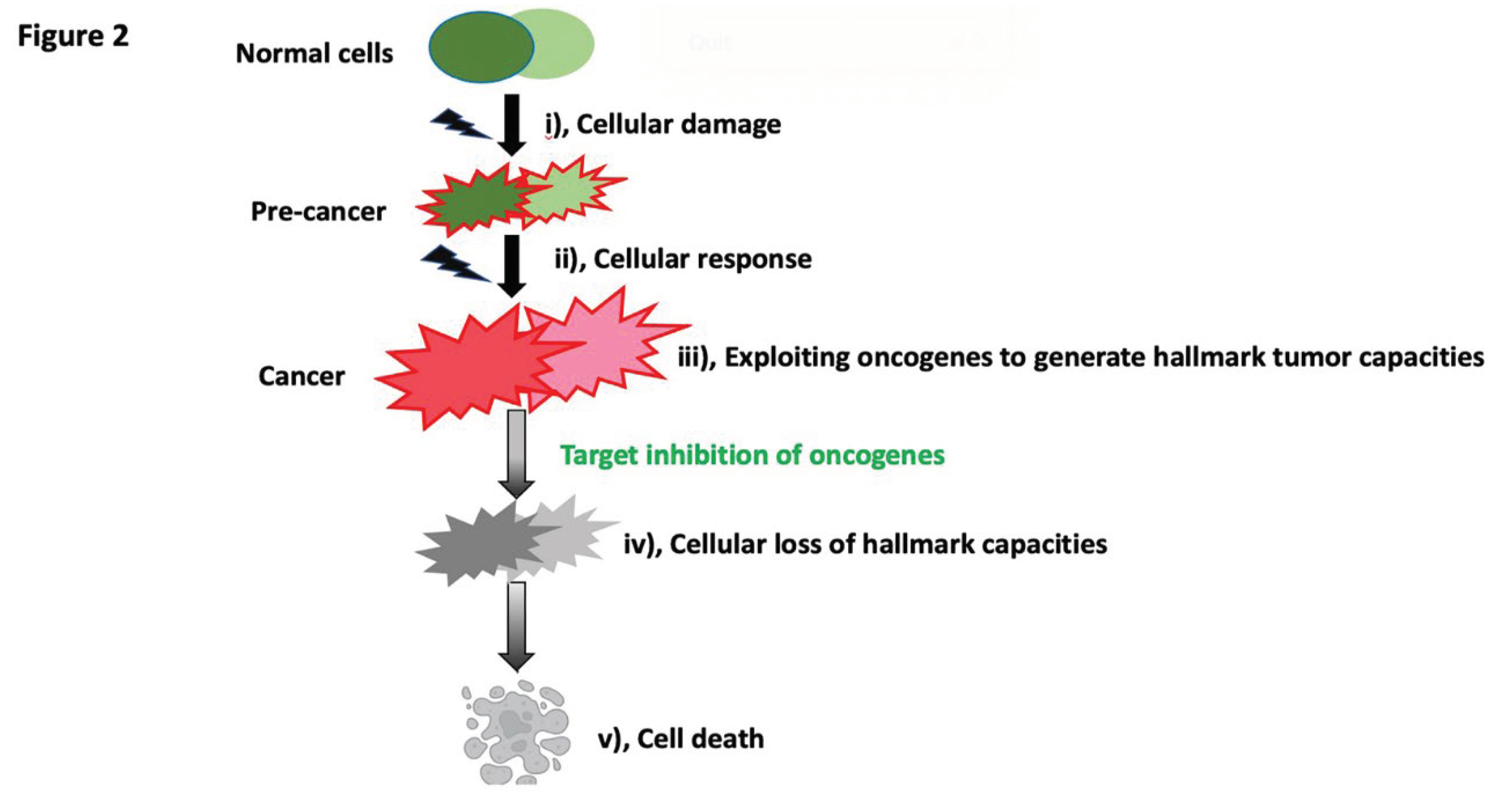 Preprints 103376 g002