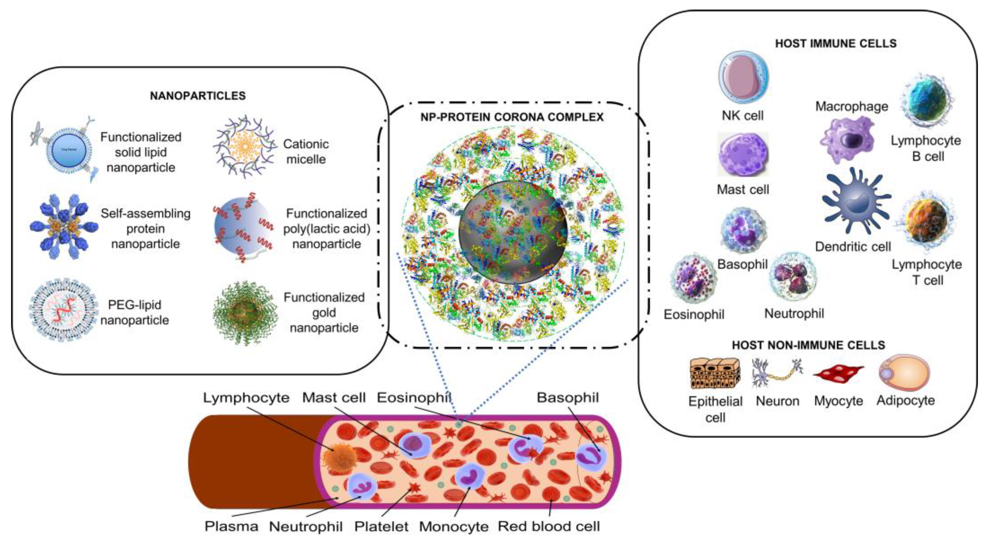 Preprints 73255 g001
