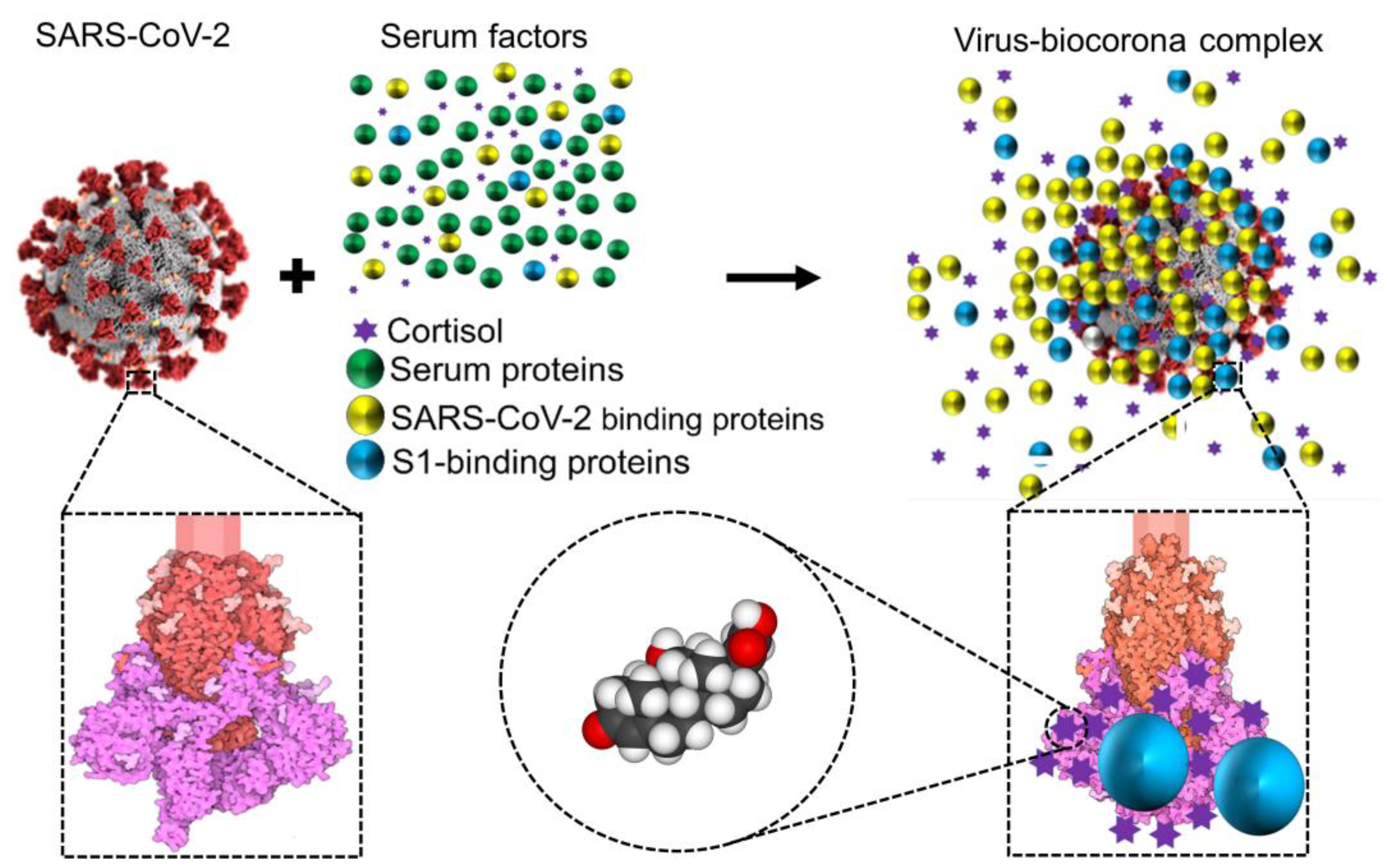 Preprints 73255 g003
