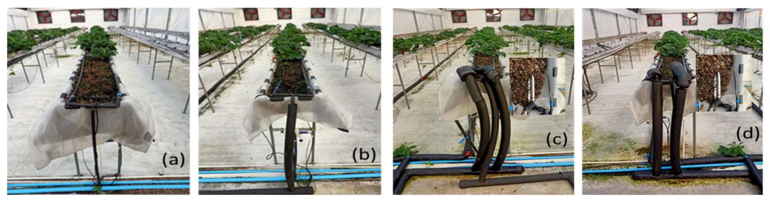 Preprints 156250 g001