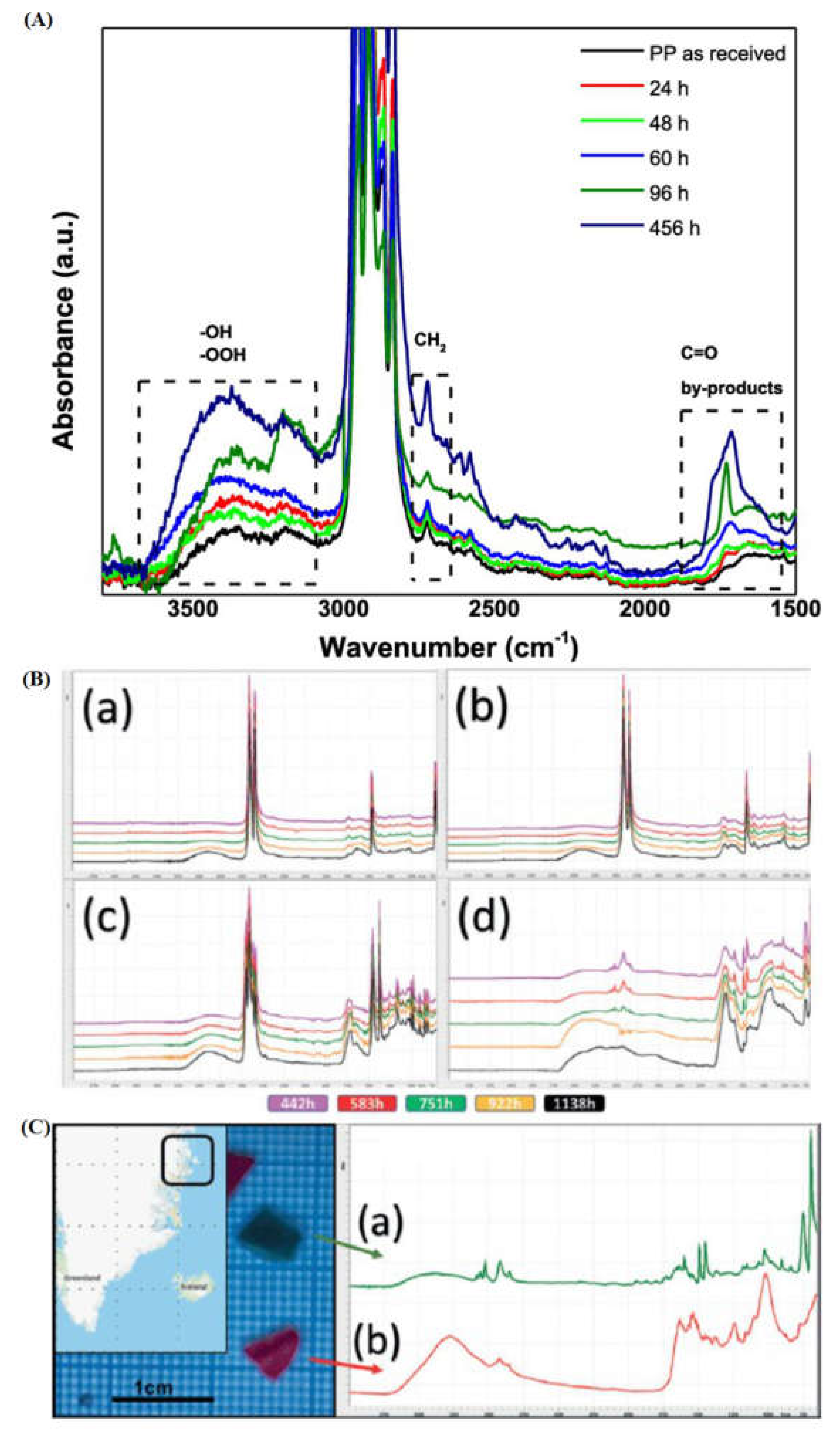 Preprints 114864 g005