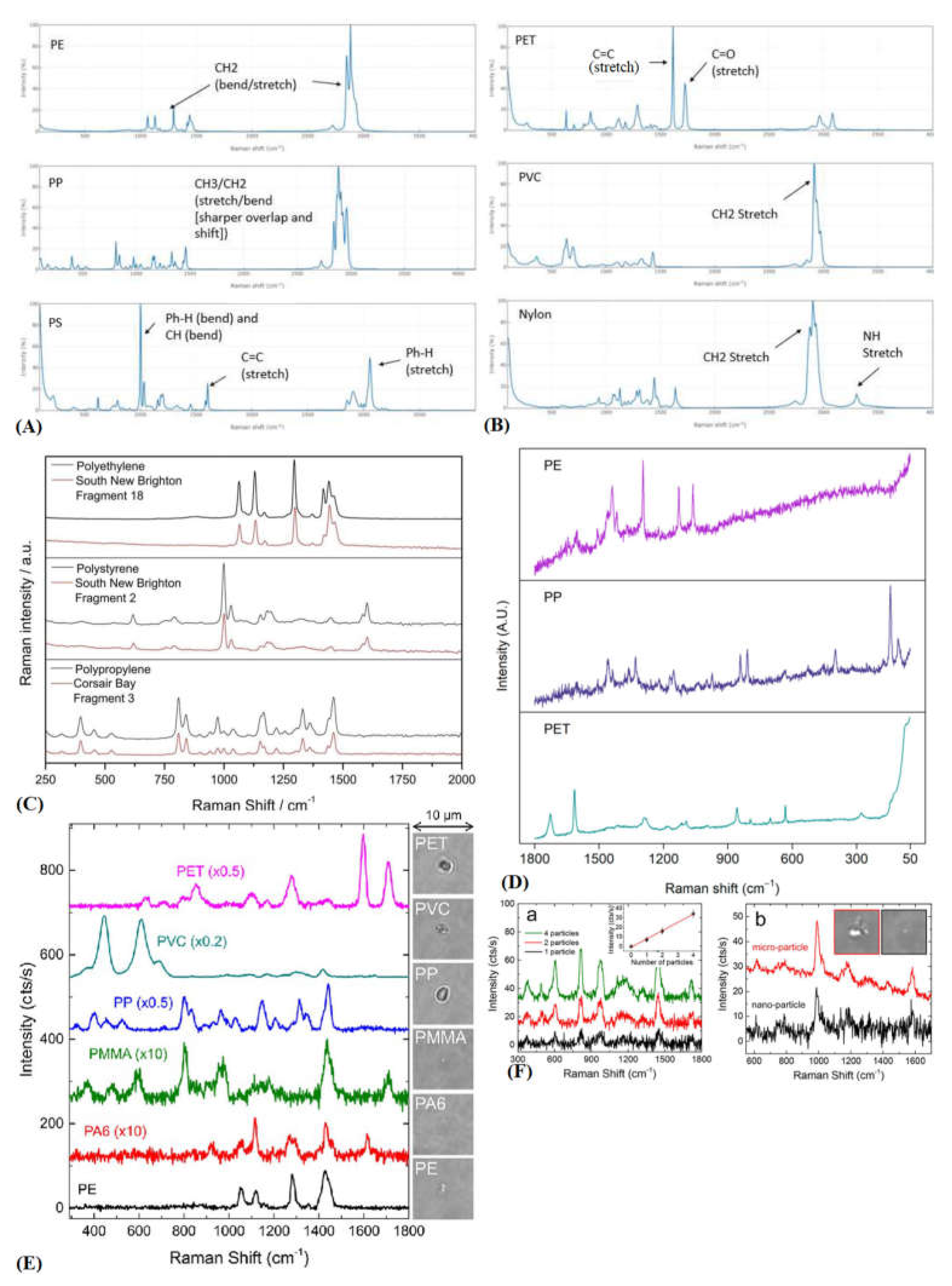 Preprints 114864 g006