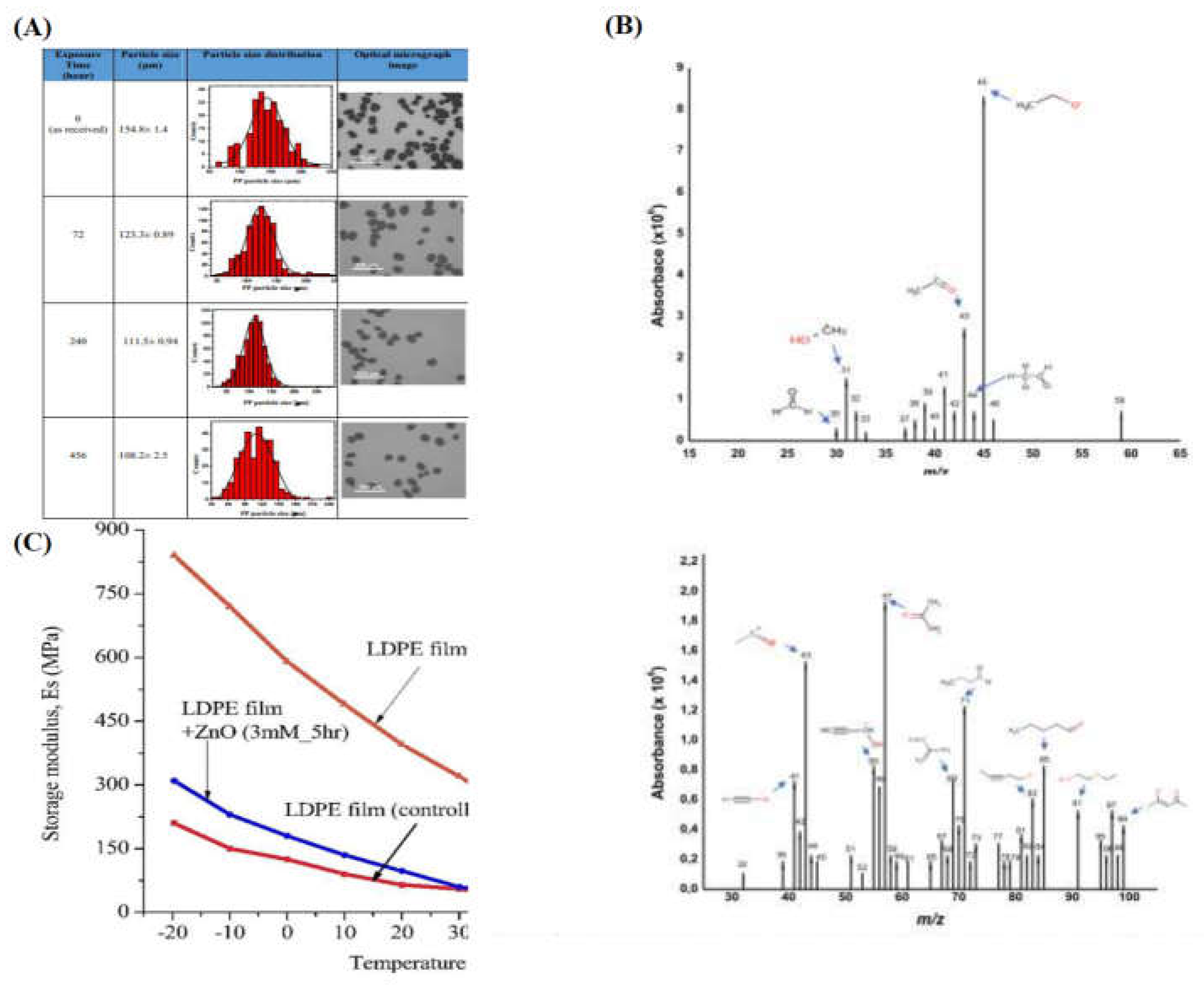 Preprints 114864 g012