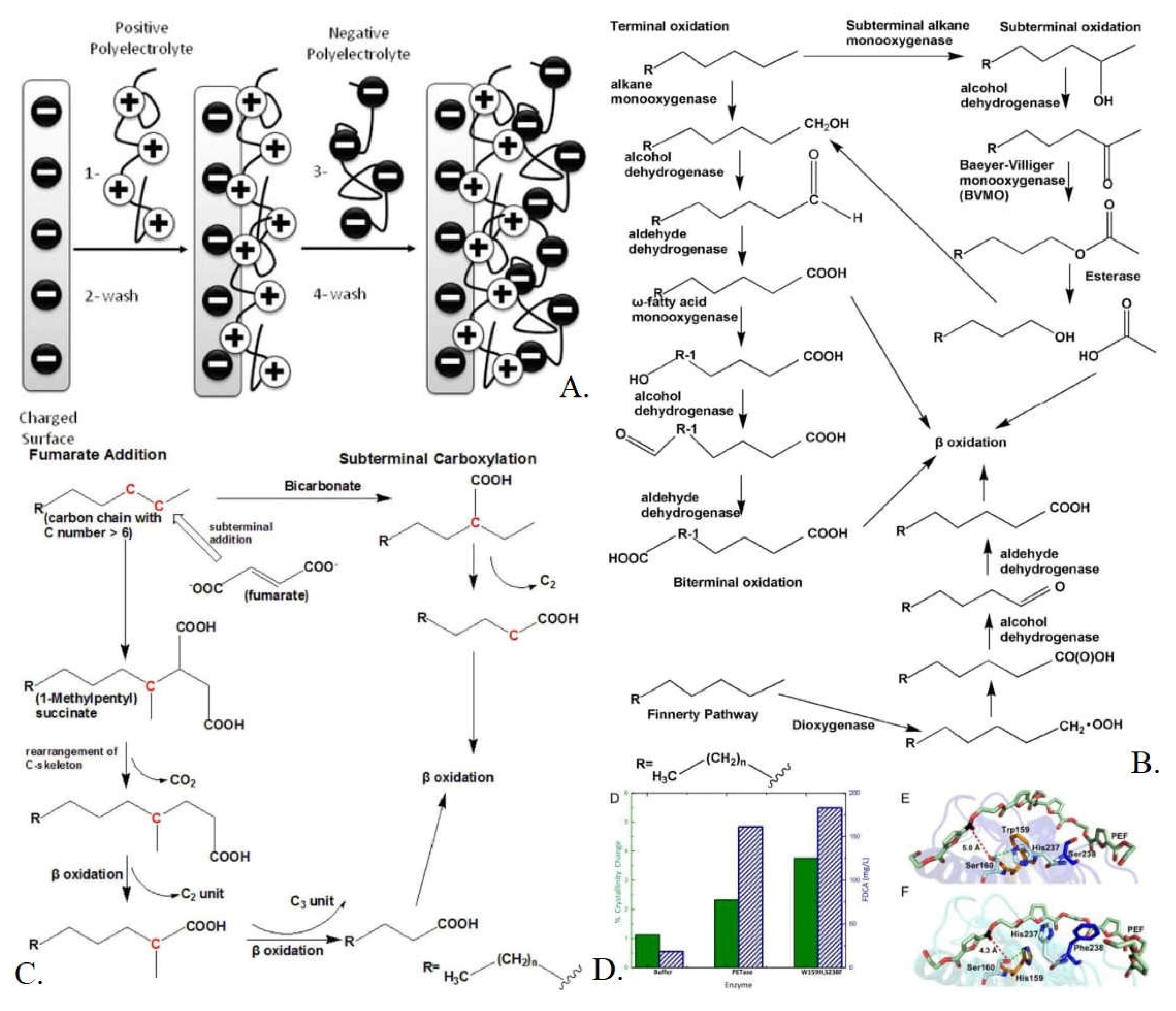 Preprints 114864 g013