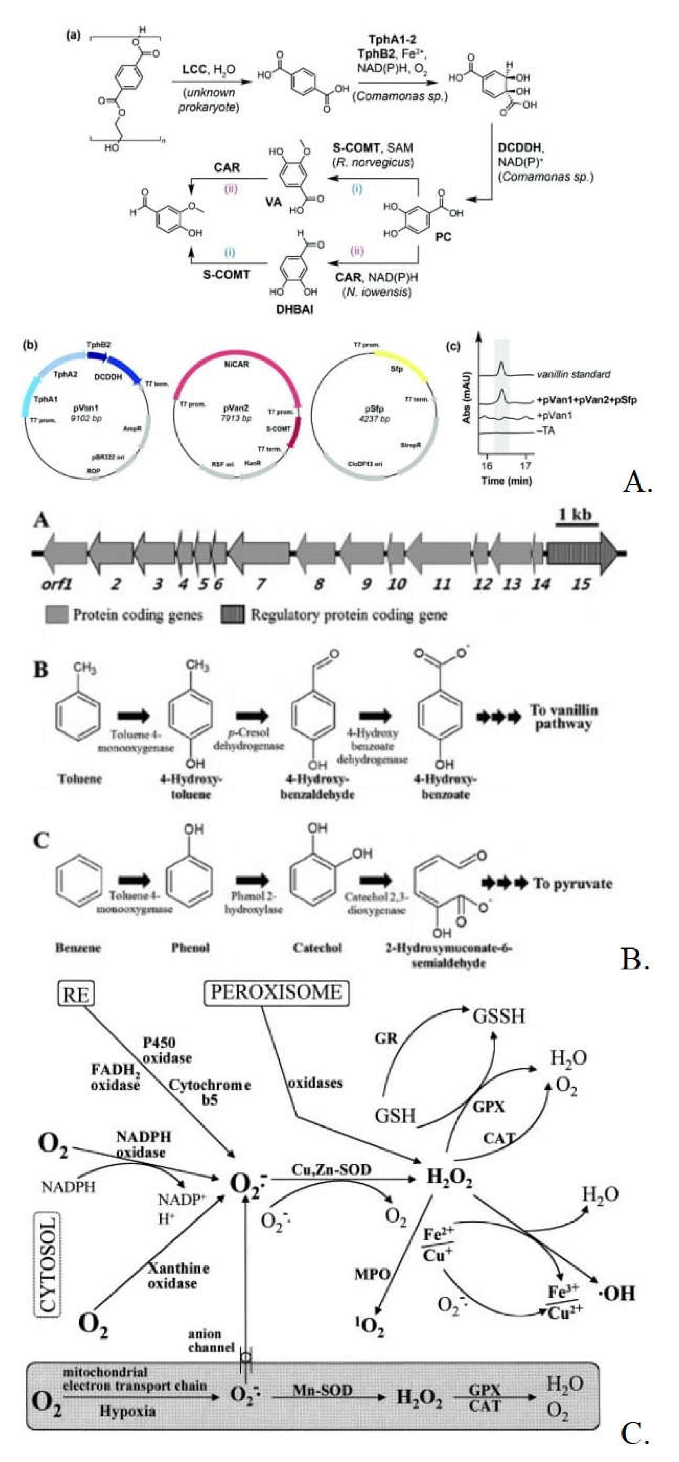 Preprints 114864 g014