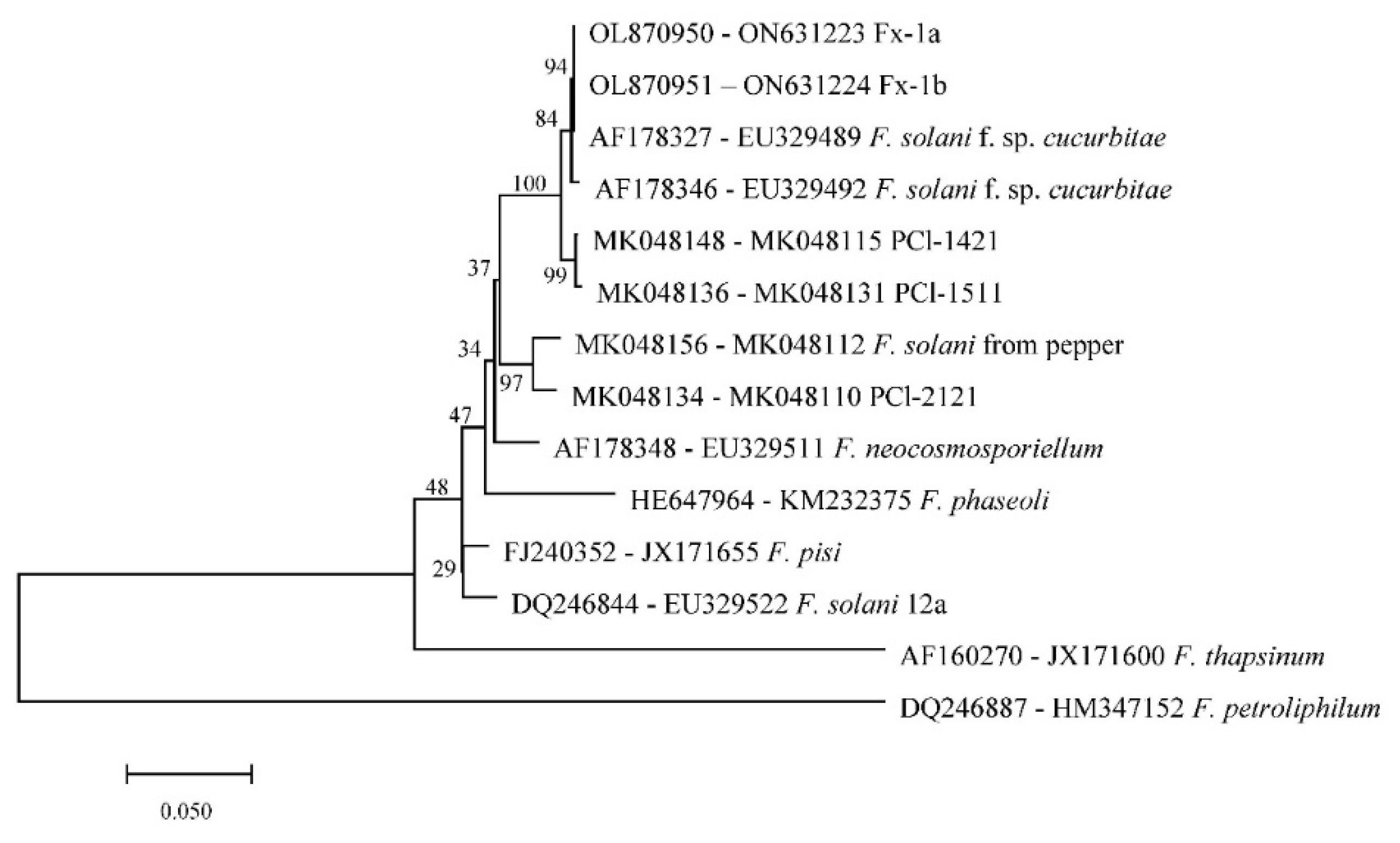 Preprints 78690 g003