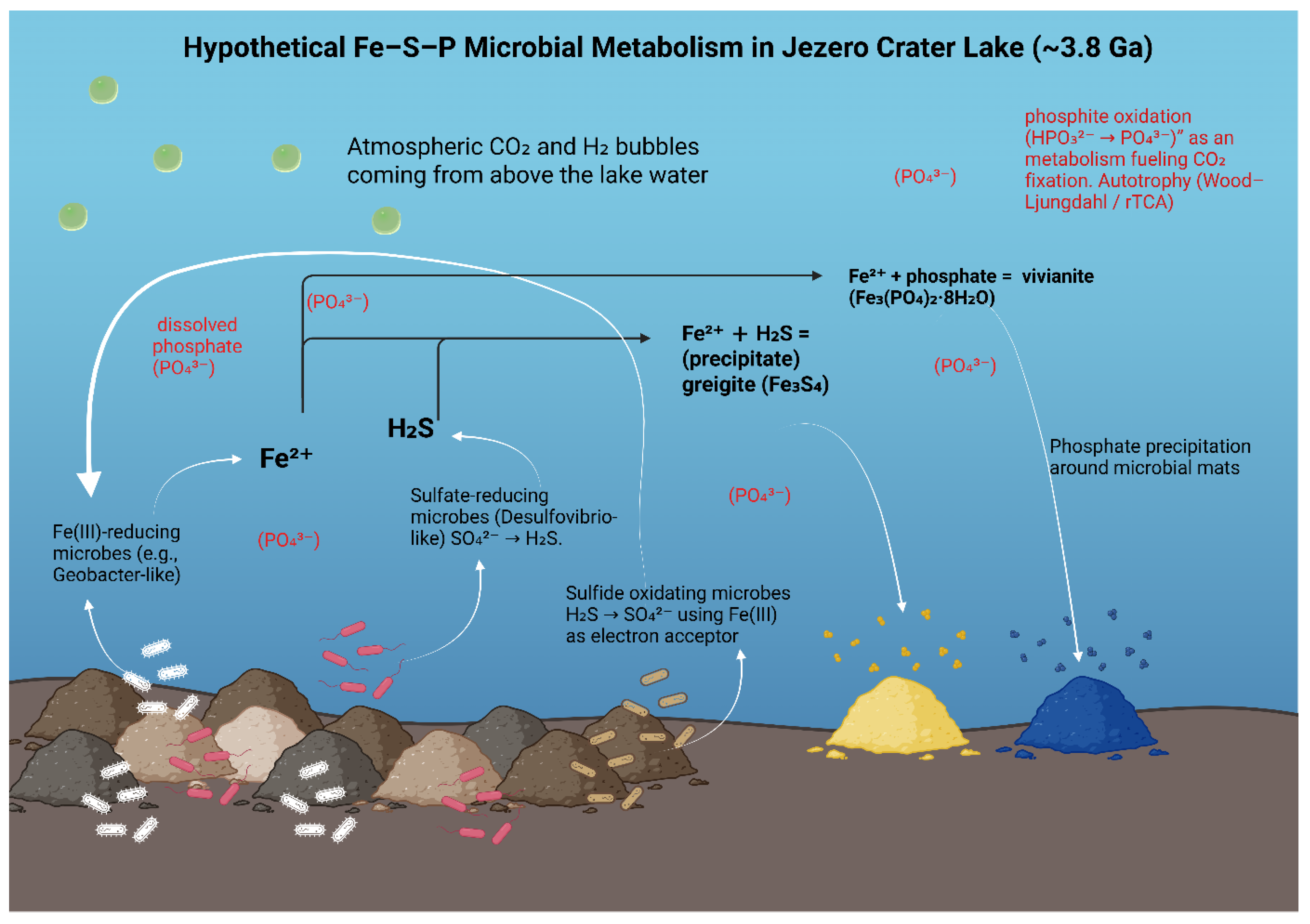 Preprints 178753 g002