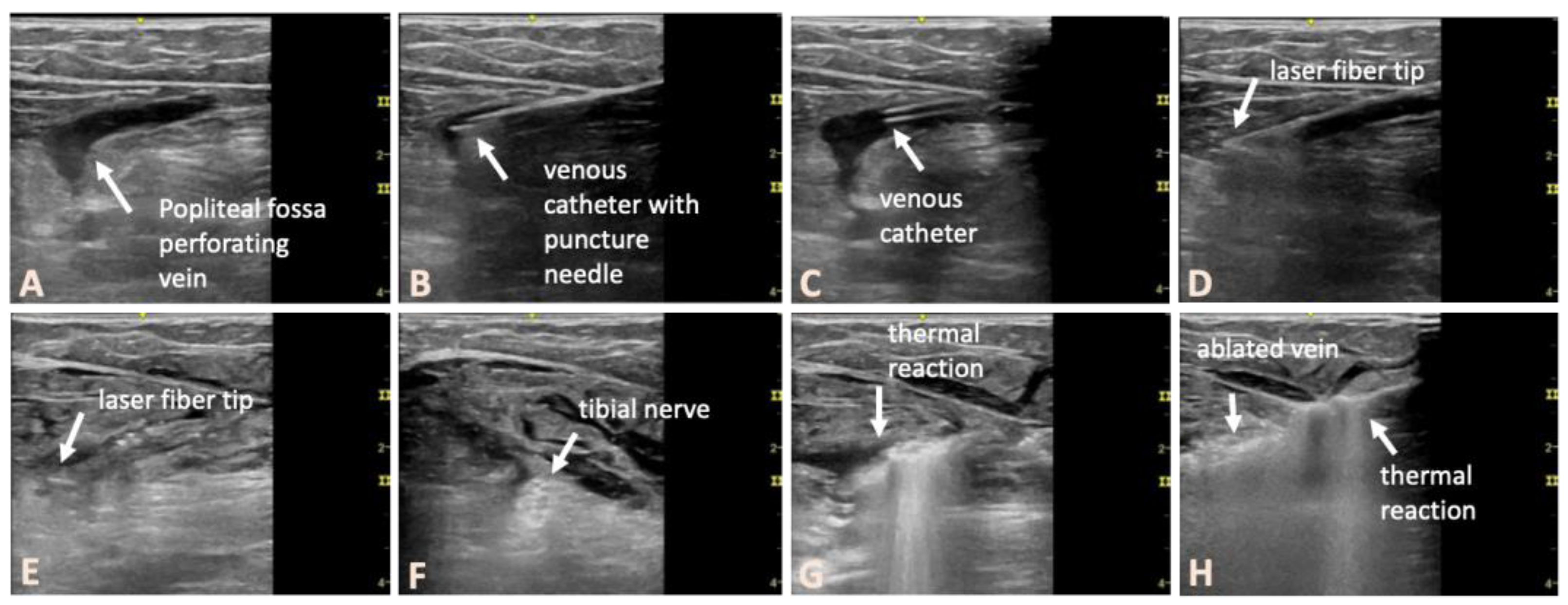 Preprints 155157 g001