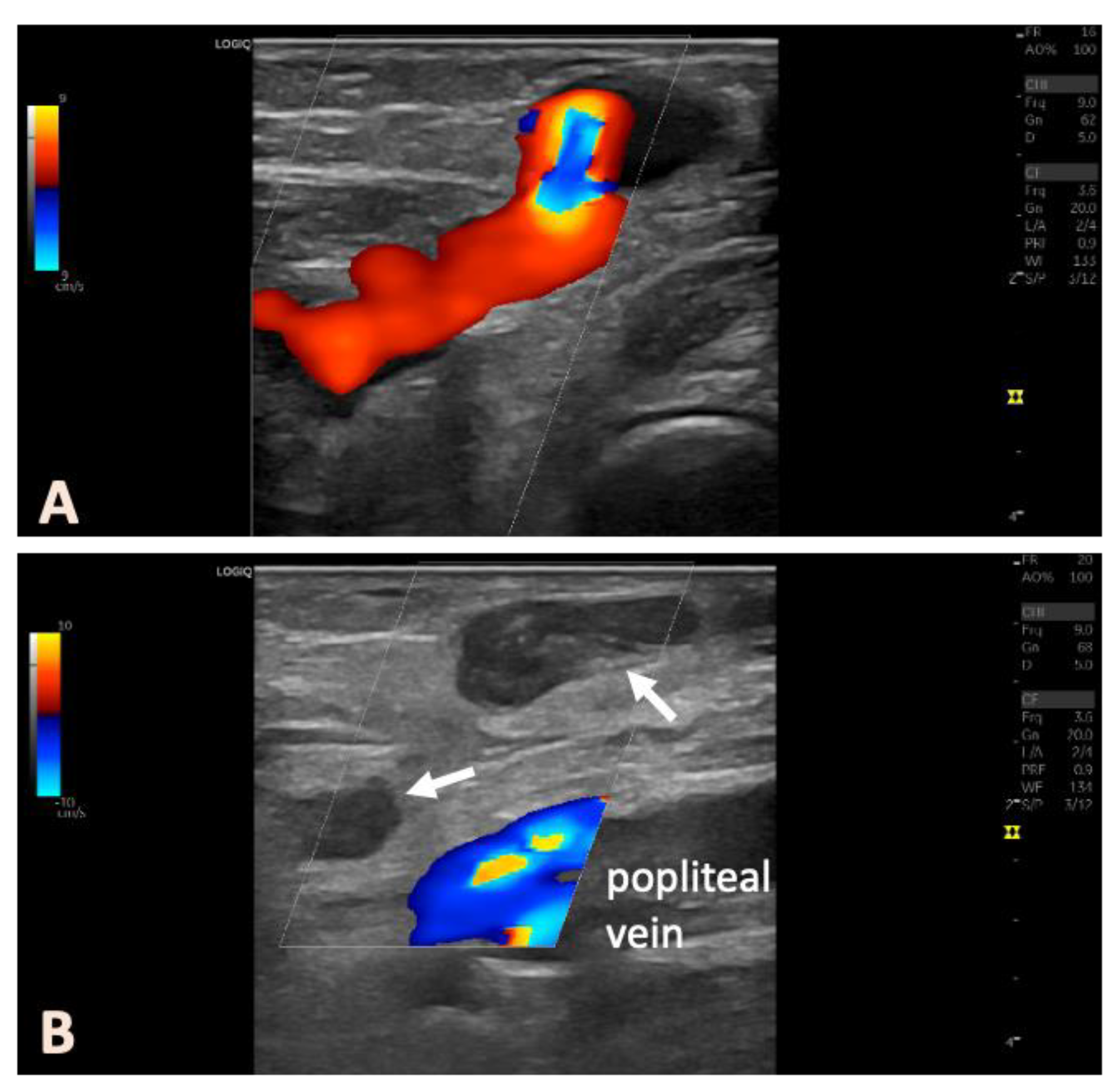 Preprints 155157 g002